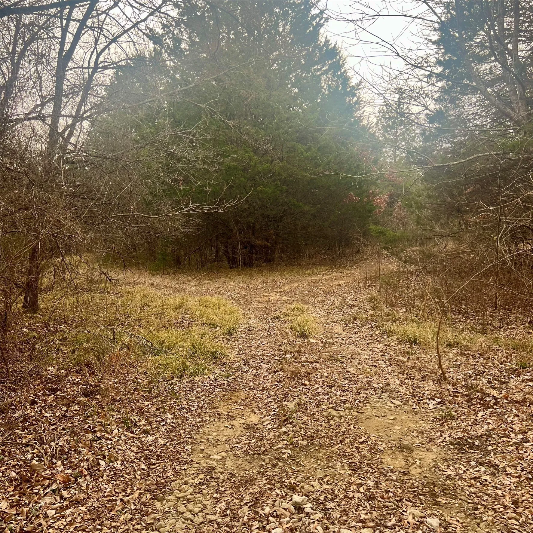 Unimproved Land For Sale in Hopkins County , TBD County Road 4574 13743, Sulphur Springs, Texas 75482, 0, 0, Garage spaces, 0 Sqft, built in 0, mls#21174193, Real Estate Agent in Sulphur Springs, Homes For Sale in Hopkins county, Homes For Sale in Sulphur Springs, Realtor in Sulphur Springs Texas, Real Estate Brokerage Independent Realty Texas, Luminita Cordes Realtor