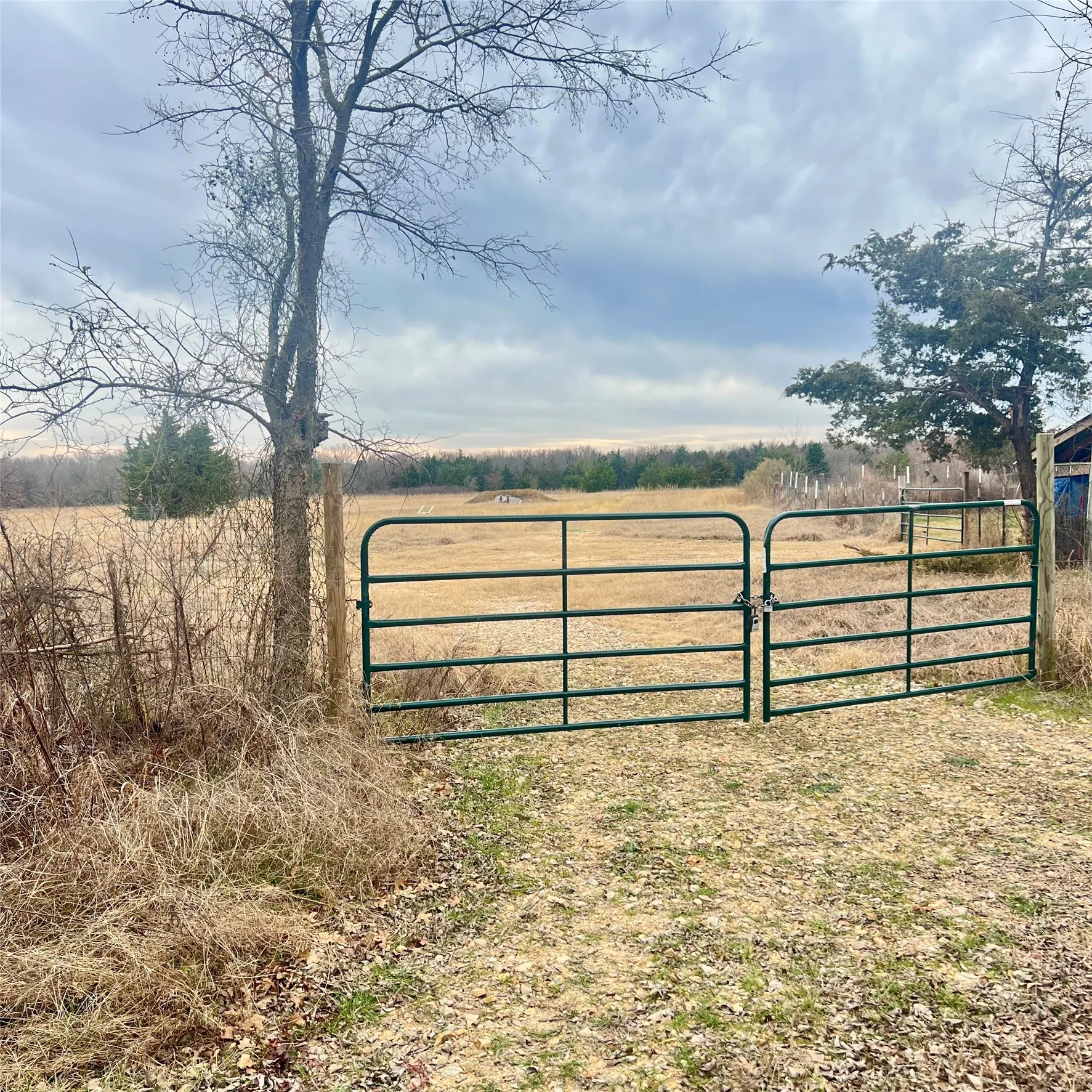Unimproved Land For Sale in Hopkins County , TBD County Road 4574 13743, Sulphur Springs, Texas 75482, 0, 0, Garage spaces, 0 Sqft, built in 0, mls#21174193, Real Estate Agent in Sulphur Springs, Homes For Sale in Hopkins county, Homes For Sale in Sulphur Springs, Realtor in Sulphur Springs Texas, Real Estate Brokerage Independent Realty Texas, Luminita Cordes Realtor