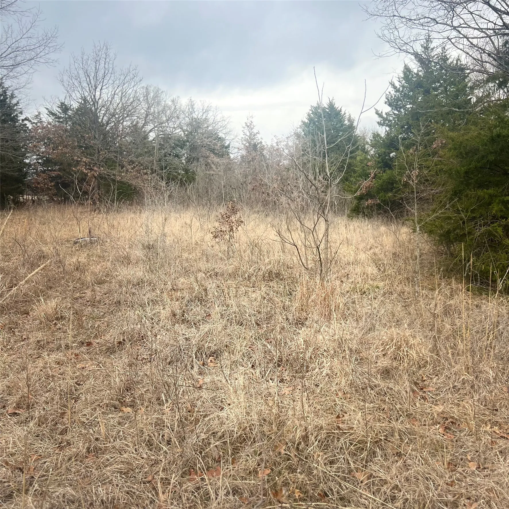 Unimproved Land For Sale in Hopkins County , TBD County Road 4574 13743, Sulphur Springs, Texas 75482, 0, 0, Garage spaces, 0 Sqft, built in 0, mls#21174193, Real Estate Agent in Sulphur Springs, Homes For Sale in Hopkins county, Homes For Sale in Sulphur Springs, Realtor in Sulphur Springs Texas, Real Estate Brokerage Independent Realty Texas, Luminita Cordes Realtor