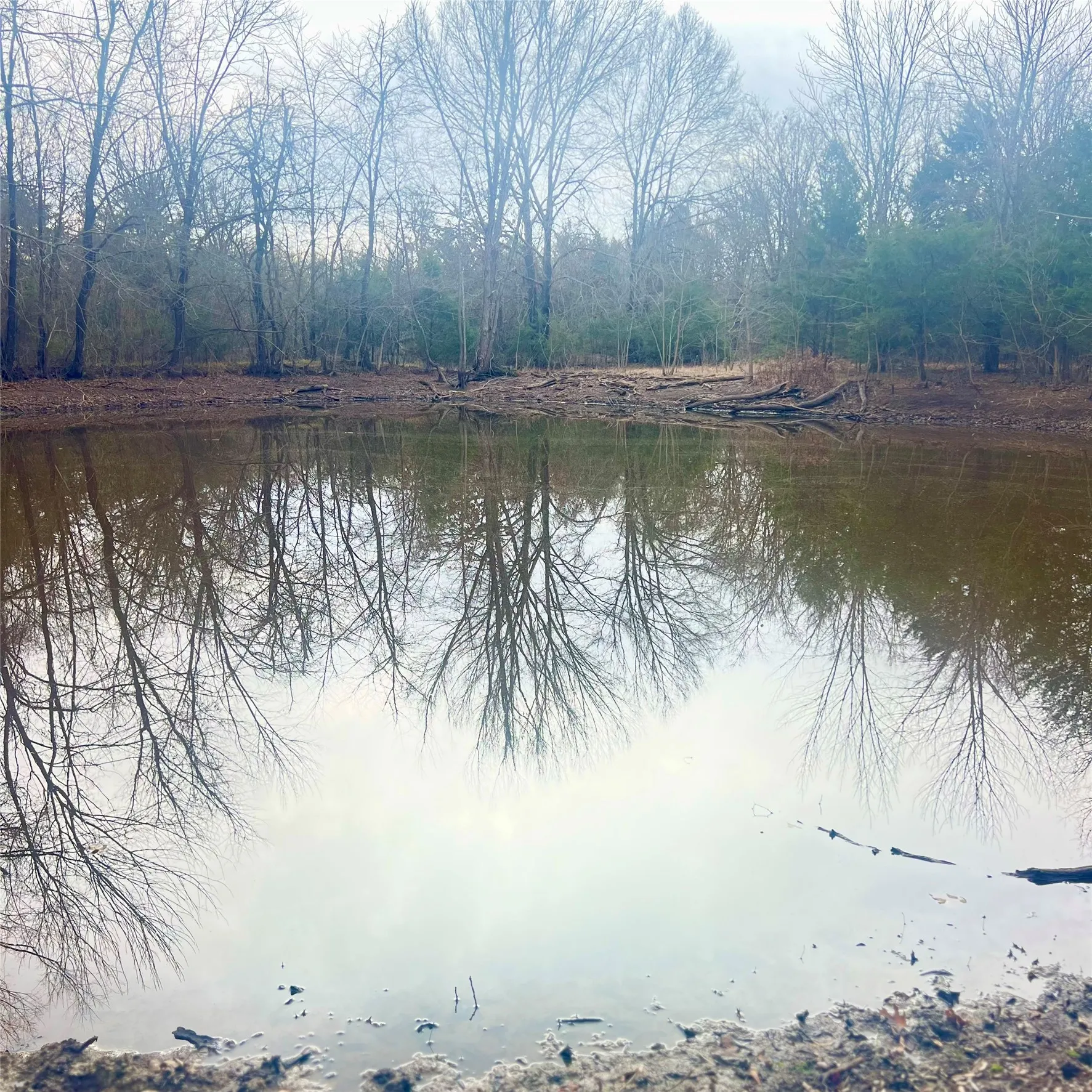 Unimproved Land For Sale in Hopkins County , TBD County Road 4574 13743, Sulphur Springs, Texas 75482, 0, 0, Garage spaces, 0 Sqft, built in 0, mls#21174193, Real Estate Agent in Sulphur Springs, Homes For Sale in Hopkins county, Homes For Sale in Sulphur Springs, Realtor in Sulphur Springs Texas, Real Estate Brokerage Independent Realty Texas, Luminita Cordes Realtor