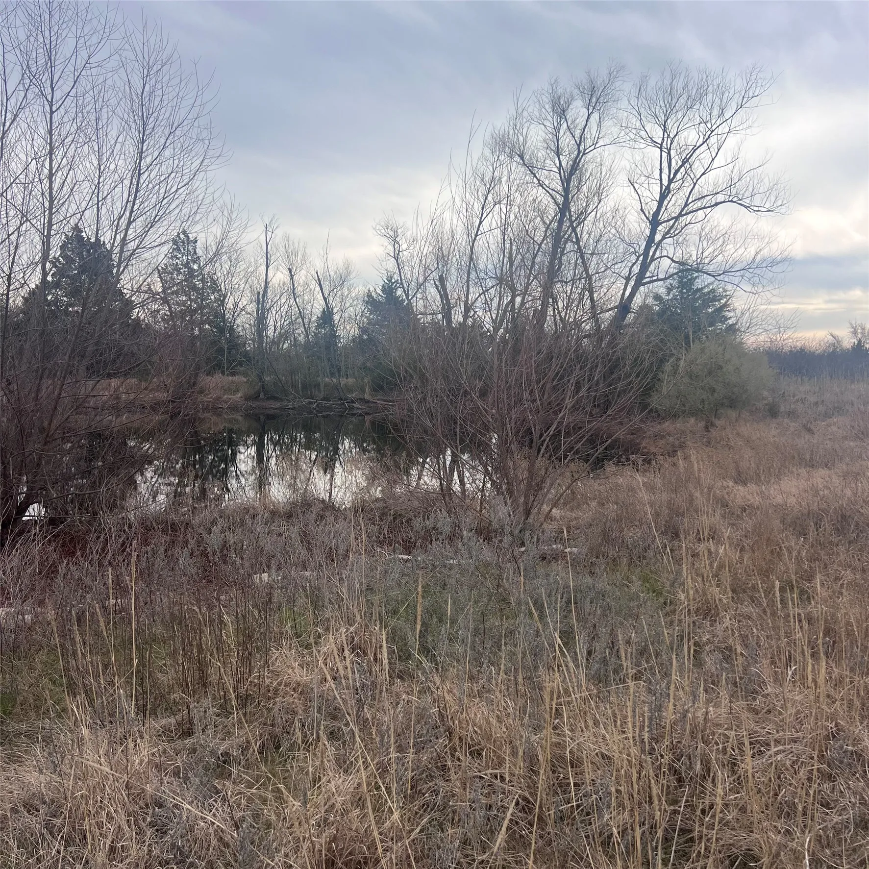 Unimproved Land For Sale in Hopkins County , TBD County Road 4574 13743, Sulphur Springs, Texas 75482, 0, 0, Garage spaces, 0 Sqft, built in 0, mls#21174193, Real Estate Agent in Sulphur Springs, Homes For Sale in Hopkins county, Homes For Sale in Sulphur Springs, Realtor in Sulphur Springs Texas, Real Estate Brokerage Independent Realty Texas, Luminita Cordes Realtor
