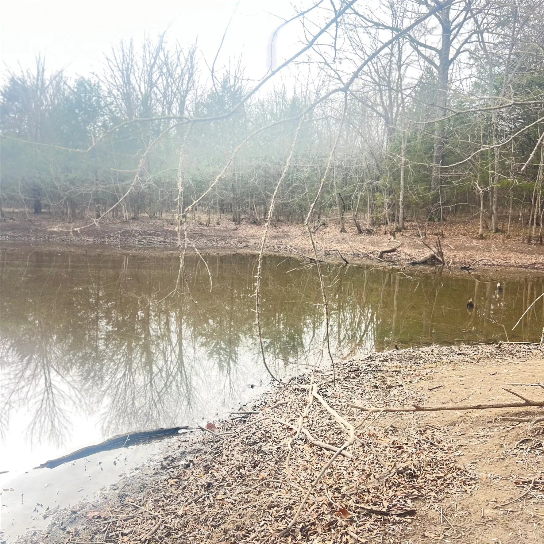 Unimproved Land For Sale in Hopkins County , TBD County Road 4574 13743, Sulphur Springs, Texas 75482, 0, 0, Garage spaces, 0 Sqft, built in 0, mls#21174193, Real Estate Agent in Sulphur Springs, Homes For Sale in Hopkins county, Homes For Sale in Sulphur Springs, Realtor in Sulphur Springs Texas, Real Estate Brokerage Independent Realty Texas, Luminita Cordes Realtor