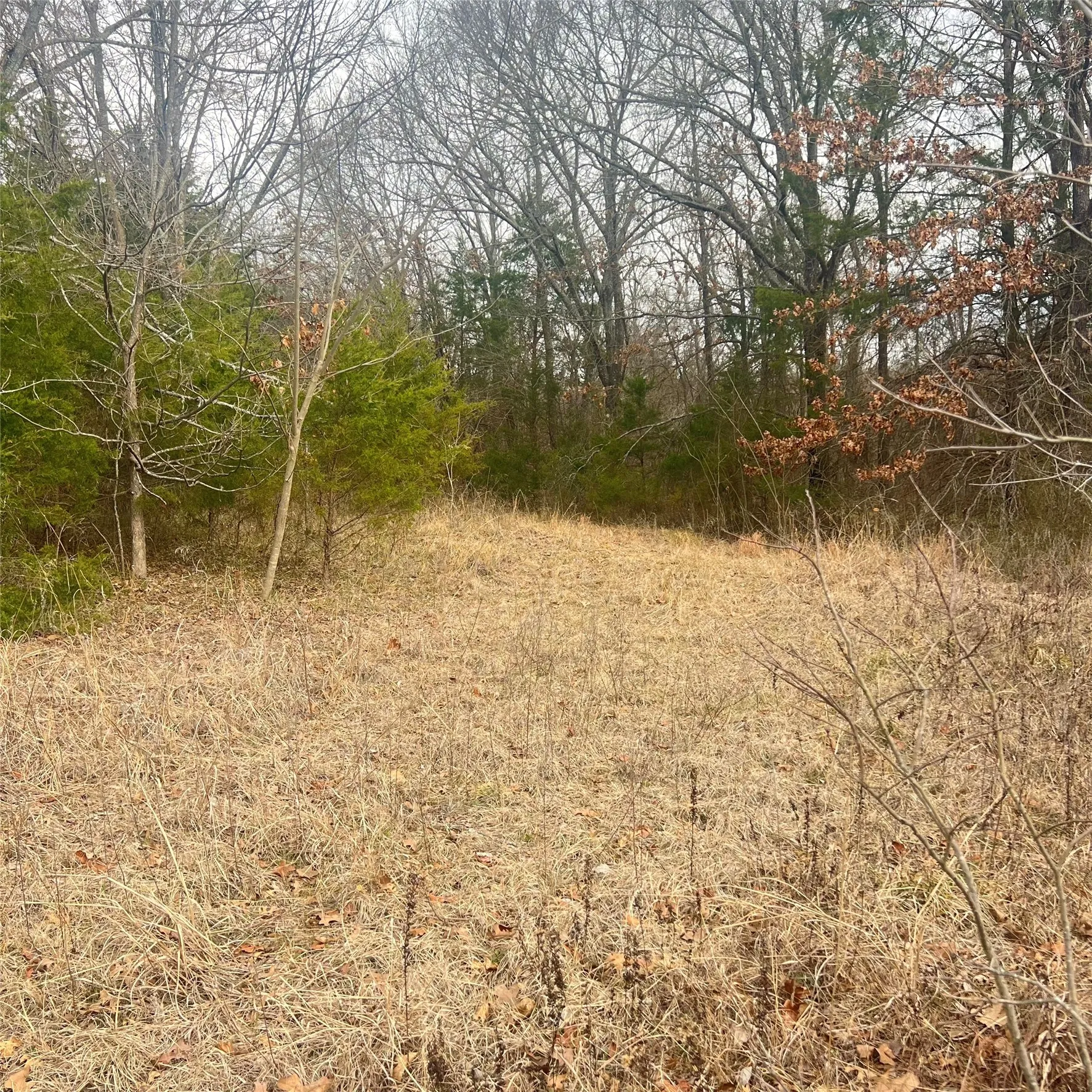 Unimproved Land For Sale in Hopkins County , TBD County Road 4574 13743, Sulphur Springs, Texas 75482, 0, 0, Garage spaces, 0 Sqft, built in 0, mls#21174193, Real Estate Agent in Sulphur Springs, Homes For Sale in Hopkins county, Homes For Sale in Sulphur Springs, Realtor in Sulphur Springs Texas, Real Estate Brokerage Independent Realty Texas, Luminita Cordes Realtor