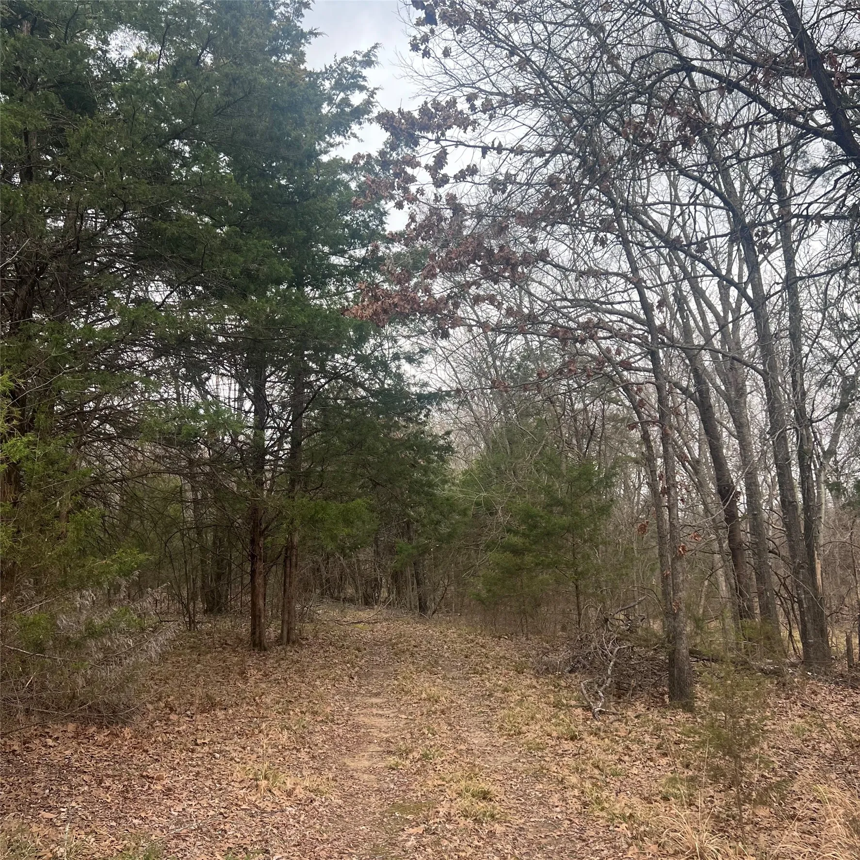 Unimproved Land For Sale in Hopkins County , TBD County Road 4574 13743, Sulphur Springs, Texas 75482, 0, 0, Garage spaces, 0 Sqft, built in 0, mls#21174193, Real Estate Agent in Sulphur Springs, Homes For Sale in Hopkins county, Homes For Sale in Sulphur Springs, Realtor in Sulphur Springs Texas, Real Estate Brokerage Independent Realty Texas, Luminita Cordes Realtor