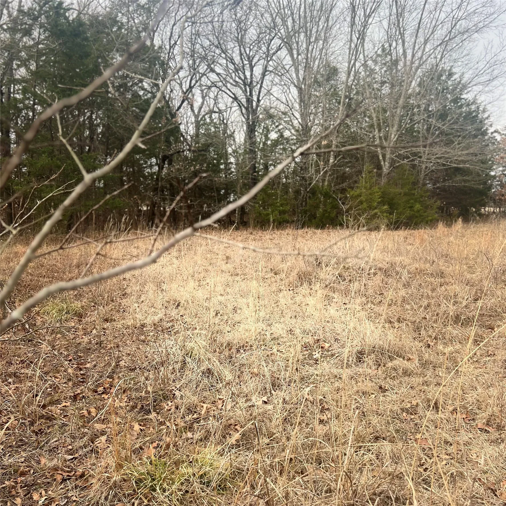 Unimproved Land For Sale in Hopkins County , TBD County Road 4574 13743, Sulphur Springs, Texas 75482, 0, 0, Garage spaces, 0 Sqft, built in 0, mls#21174193, Real Estate Agent in Sulphur Springs, Homes For Sale in Hopkins county, Homes For Sale in Sulphur Springs, Realtor in Sulphur Springs Texas, Real Estate Brokerage Independent Realty Texas, Luminita Cordes Realtor