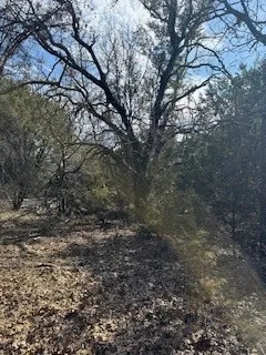 Unimproved Land For Sale in Hill County , 21039 Shady Oak Court, Whitney, Texas 76692, 0, 0, Garage spaces, 0 Sqft, built in 0, Price $19,000, mls#21174269, Real Estate Agent in Whitney, Homes For Sale in Hill county, Homes For Sale in Whitney, Realtor in Whitney Texas, Real Estate Brokerage Independent Realty Texas, Luminita Cordes Realtor