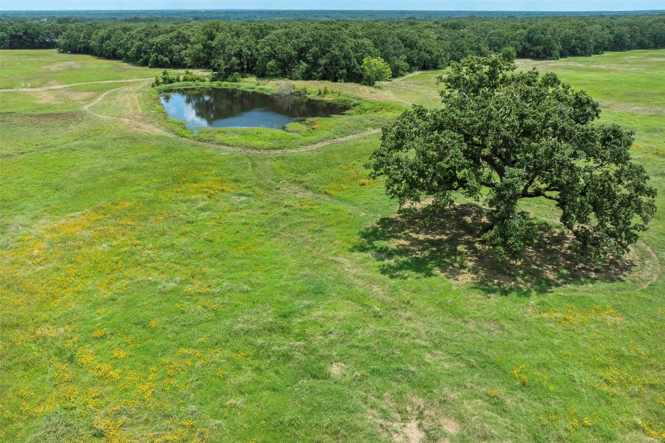 Farm For Sale in Kaufman County , 9830 County Road 4028, Kemp, Texas 75143, 3 Bedroom, 3 Bathroom, 2 Garage spaces, 1,918 Sqft, built in 1900, Preowned, mls#21170816, Real Estate Agent in Kemp, Homes For Sale in Kaufman county, Homes For Sale in Kemp, Realtor in Kemp Texas, Real Estate Brokerage Independent Realty Texas, Luminita Cordes Realtor