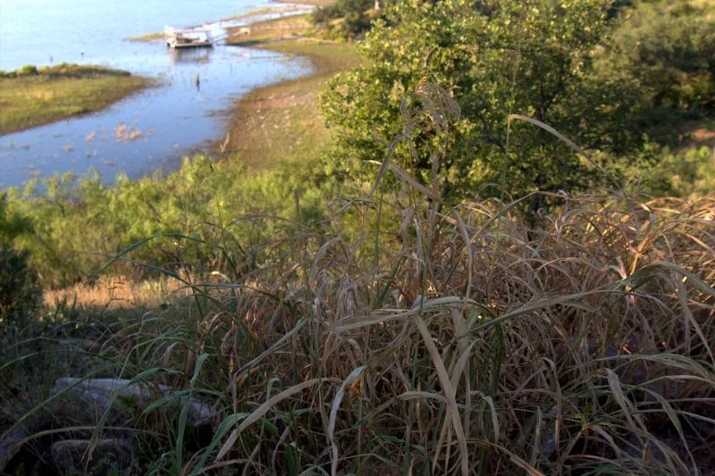 Unimproved Land For Sale in Brown County , TBD Summer Wind Drive, Brownwood, Texas 76801, 0, 0, Garage spaces, 0 Sqft, built in 0, mls#21172667, Real Estate Agent in Brownwood, Homes For Sale in Brown county, Homes For Sale in Brownwood, Realtor in Brownwood Texas, Real Estate Brokerage Independent Realty Texas, Luminita Cordes Realtor
