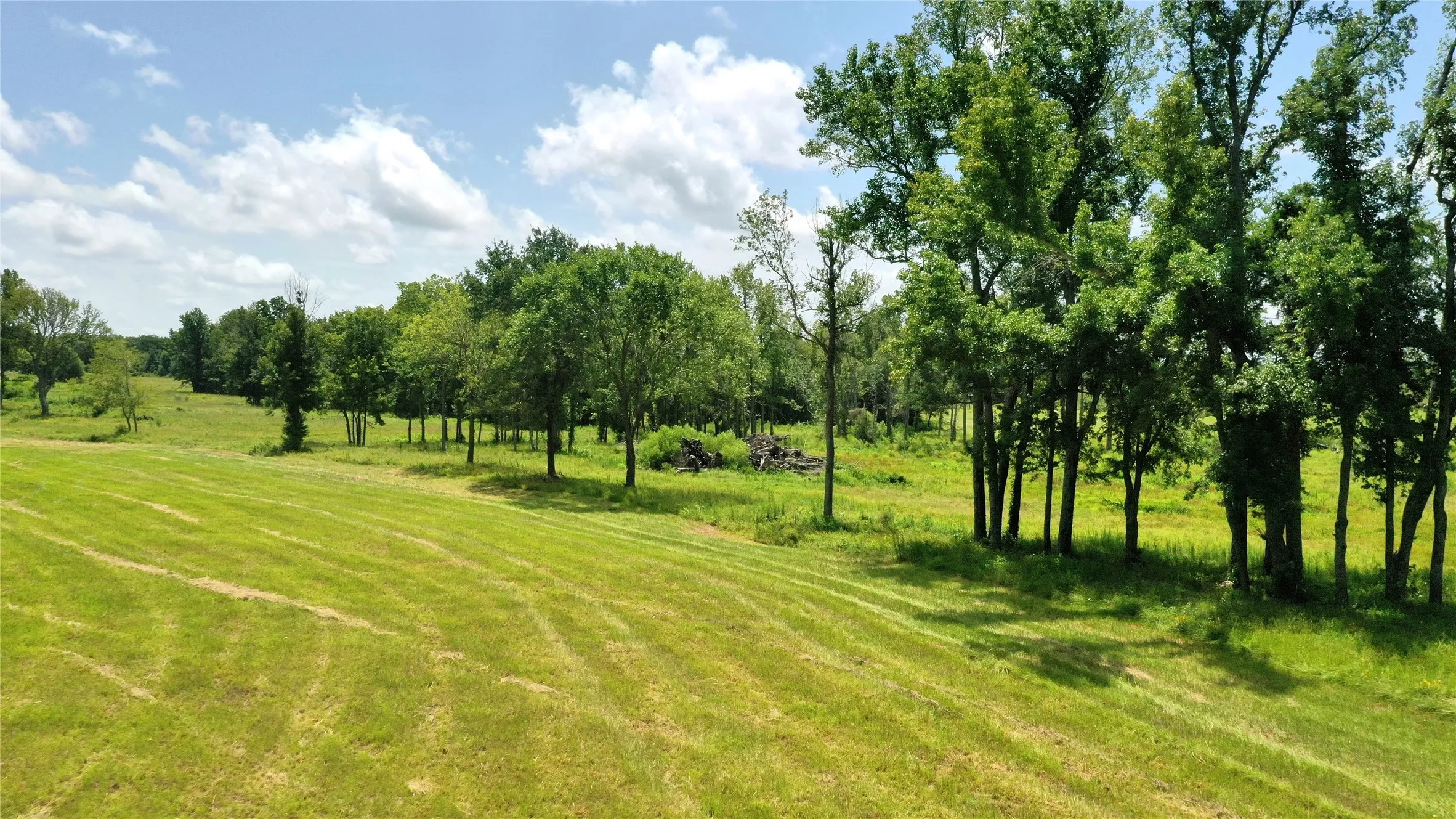 Ranch For Sale in Van Zandt County , 13530 FM 773, Ben Wheeler, Texas 75754, 0, 0, Garage spaces, 0 Sqft, built in 0, Price $1,345,000, mls#21174562, Real Estate Agent in Ben Wheeler, Homes For Sale in Van Zandt county, Homes For Sale in Ben Wheeler, Realtor in Ben Wheeler Texas, Real Estate Brokerage Independent Realty Texas, Luminita Cordes Realtor
