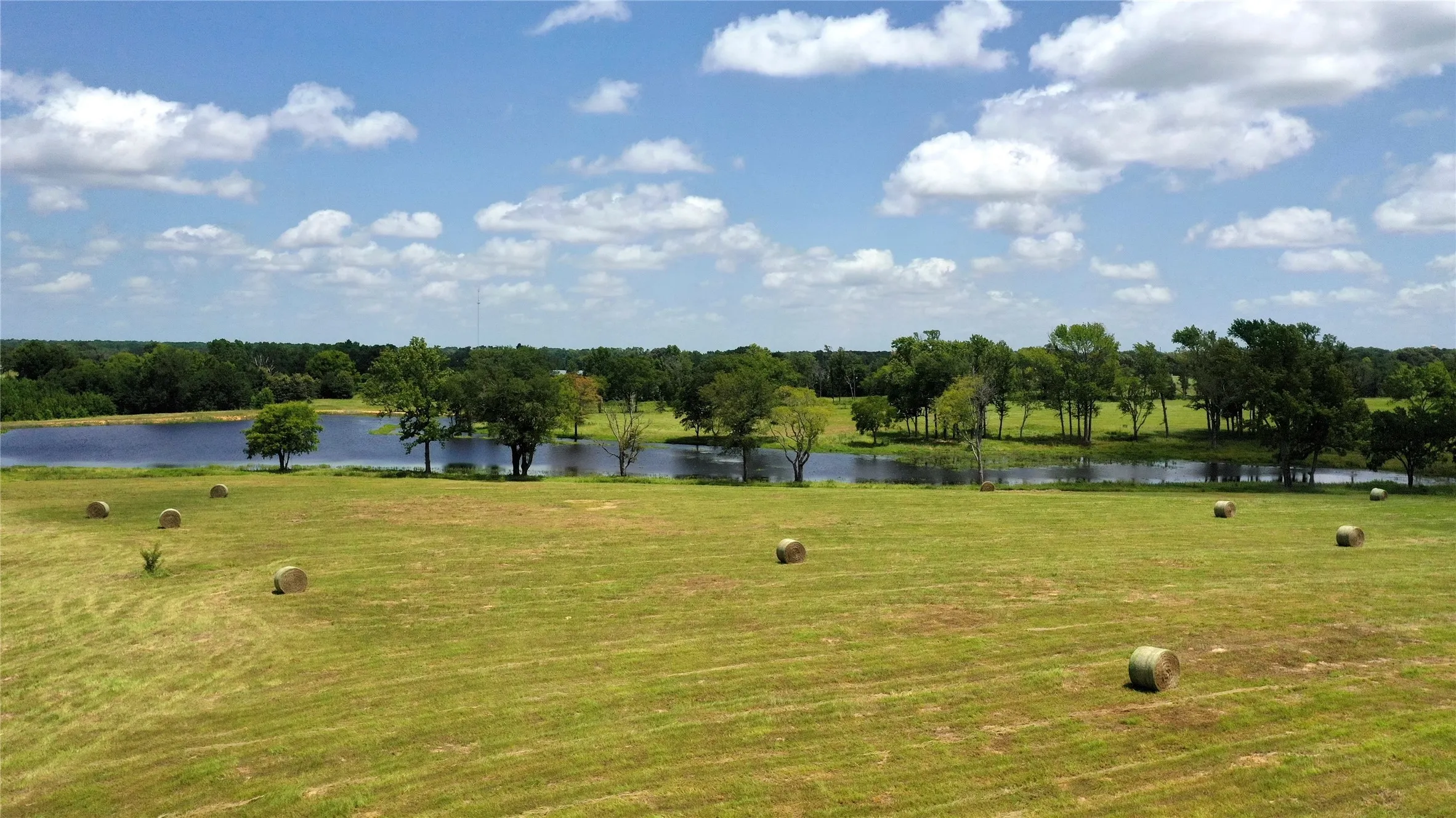 Ranch For Sale in Van Zandt County , 13530 FM 773, Ben Wheeler, Texas 75754, 0, 0, Garage spaces, 0 Sqft, built in 0, Price $1,345,000, mls#21174562, Real Estate Agent in Ben Wheeler, Homes For Sale in Van Zandt county, Homes For Sale in Ben Wheeler, Realtor in Ben Wheeler Texas, Real Estate Brokerage Independent Realty Texas, Luminita Cordes Realtor