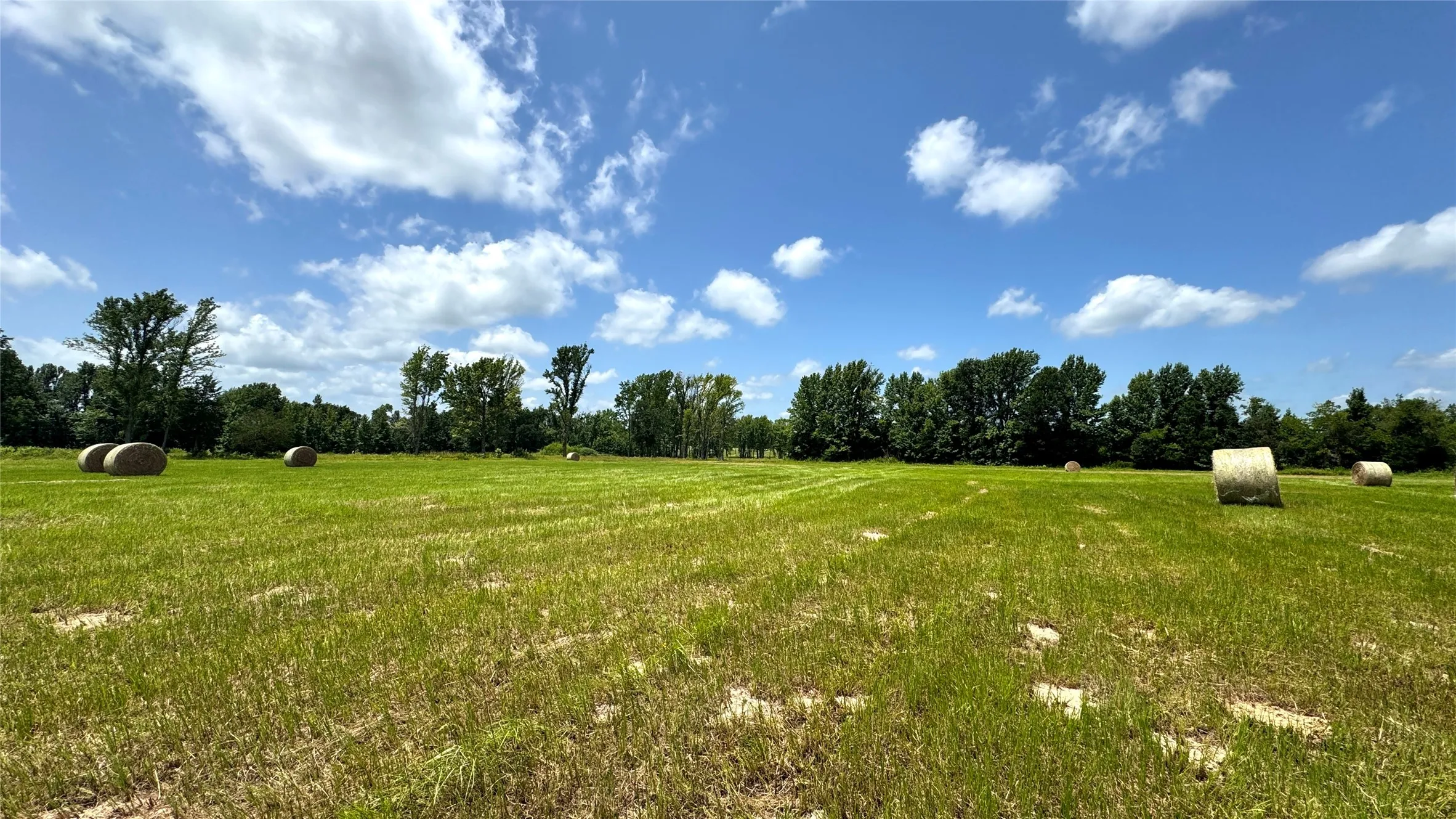 Ranch For Sale in Van Zandt County , 13530 FM 773, Ben Wheeler, Texas 75754, 0, 0, Garage spaces, 0 Sqft, built in 0, Price $1,345,000, mls#21174562, Real Estate Agent in Ben Wheeler, Homes For Sale in Van Zandt county, Homes For Sale in Ben Wheeler, Realtor in Ben Wheeler Texas, Real Estate Brokerage Independent Realty Texas, Luminita Cordes Realtor