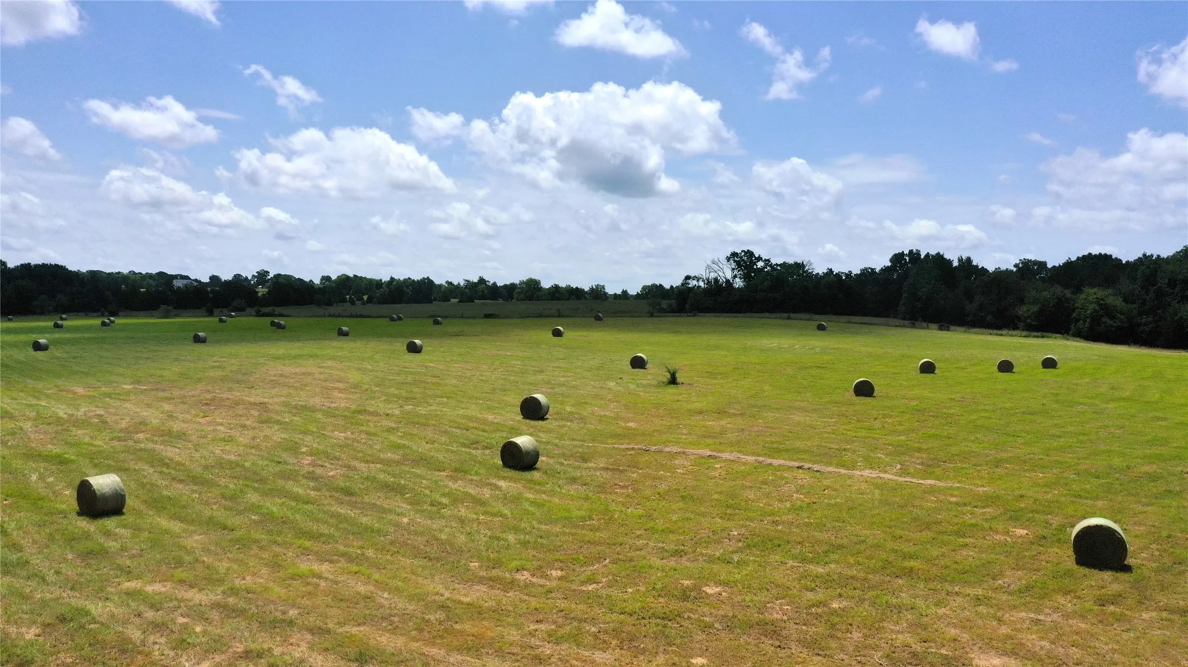Ranch For Sale in Van Zandt County , 13530 FM 773, Ben Wheeler, Texas 75754, 0, 0, Garage spaces, 0 Sqft, built in 0, Price $1,345,000, mls#21174562, Real Estate Agent in Ben Wheeler, Homes For Sale in Van Zandt county, Homes For Sale in Ben Wheeler, Realtor in Ben Wheeler Texas, Real Estate Brokerage Independent Realty Texas, Luminita Cordes Realtor
