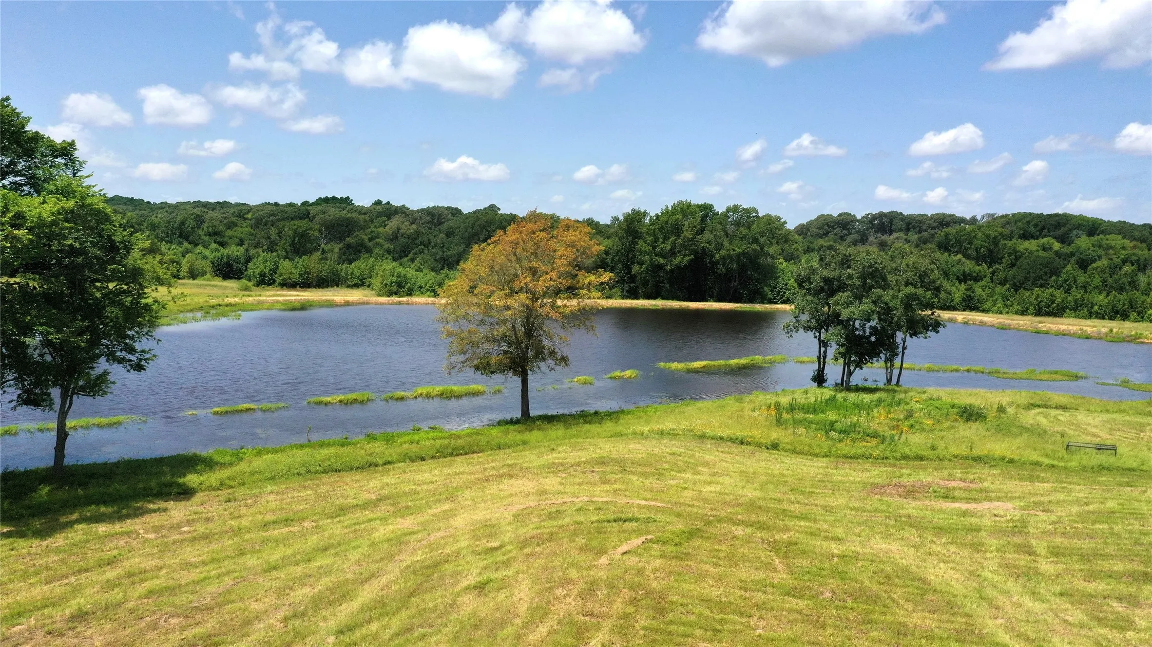 Ranch For Sale in Van Zandt County , 13530 FM 773, Ben Wheeler, Texas 75754, 0, 0, Garage spaces, 0 Sqft, built in 0, Price $1,345,000, mls#21174562, Real Estate Agent in Ben Wheeler, Homes For Sale in Van Zandt county, Homes For Sale in Ben Wheeler, Realtor in Ben Wheeler Texas, Real Estate Brokerage Independent Realty Texas, Luminita Cordes Realtor