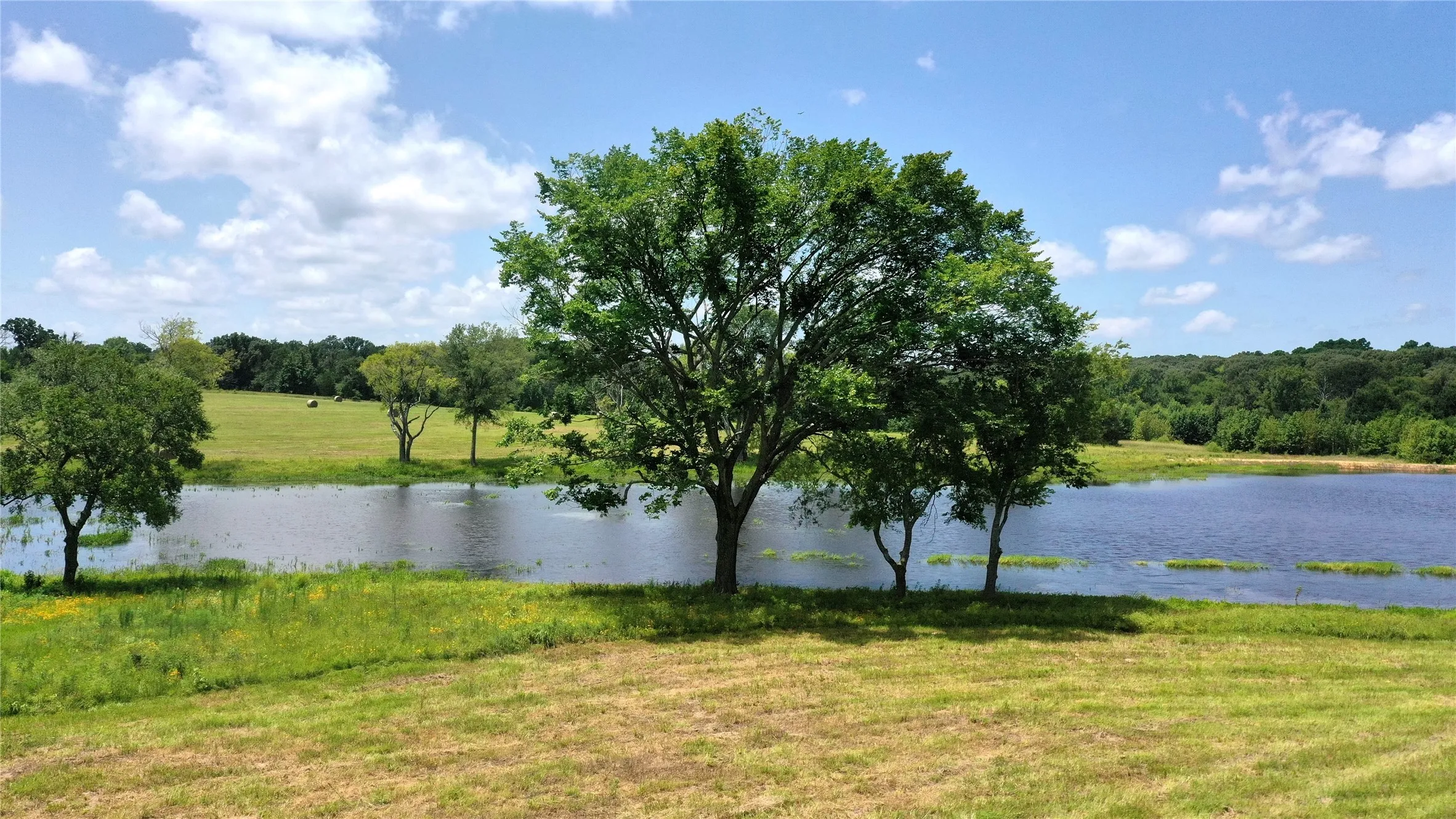 Ranch For Sale in Van Zandt County , 13530 FM 773, Ben Wheeler, Texas 75754, 0, 0, Garage spaces, 0 Sqft, built in 0, Price $1,345,000, mls#21174562, Real Estate Agent in Ben Wheeler, Homes For Sale in Van Zandt county, Homes For Sale in Ben Wheeler, Realtor in Ben Wheeler Texas, Real Estate Brokerage Independent Realty Texas, Luminita Cordes Realtor
