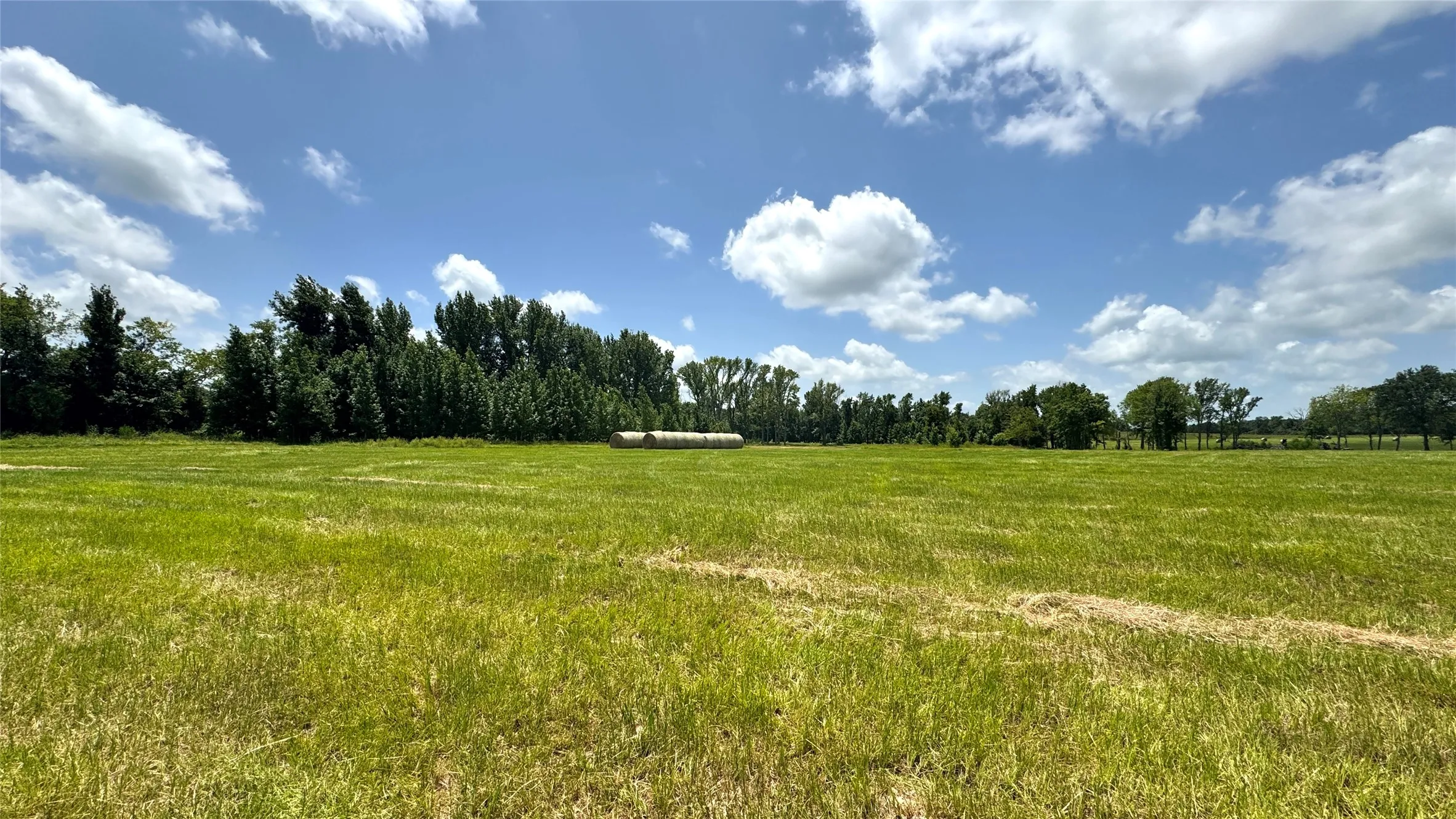 Ranch For Sale in Van Zandt County , 13530 FM 773, Ben Wheeler, Texas 75754, 0, 0, Garage spaces, 0 Sqft, built in 0, Price $1,345,000, mls#21174562, Real Estate Agent in Ben Wheeler, Homes For Sale in Van Zandt county, Homes For Sale in Ben Wheeler, Realtor in Ben Wheeler Texas, Real Estate Brokerage Independent Realty Texas, Luminita Cordes Realtor