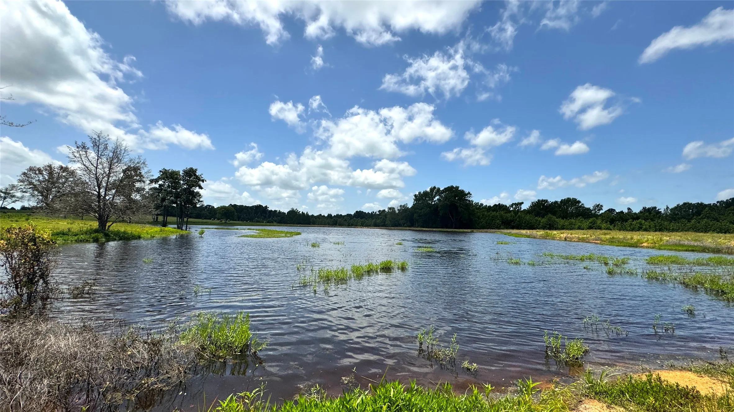 Ranch For Sale in Van Zandt County , 13530 FM 773, Ben Wheeler, Texas 75754, 0, 0, Garage spaces, 0 Sqft, built in 0, Price $1,345,000, mls#21174562, Real Estate Agent in Ben Wheeler, Homes For Sale in Van Zandt county, Homes For Sale in Ben Wheeler, Realtor in Ben Wheeler Texas, Real Estate Brokerage Independent Realty Texas, Luminita Cordes Realtor
