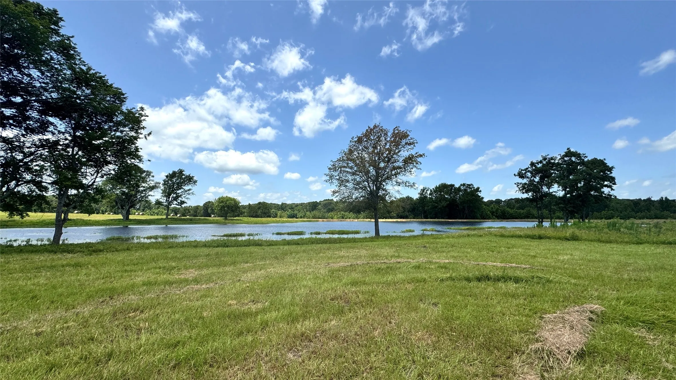 Ranch For Sale in Van Zandt County , 13530 FM 773, Ben Wheeler, Texas 75754, 0, 0, Garage spaces, 0 Sqft, built in 0, Price $1,345,000, mls#21174562, Real Estate Agent in Ben Wheeler, Homes For Sale in Van Zandt county, Homes For Sale in Ben Wheeler, Realtor in Ben Wheeler Texas, Real Estate Brokerage Independent Realty Texas, Luminita Cordes Realtor