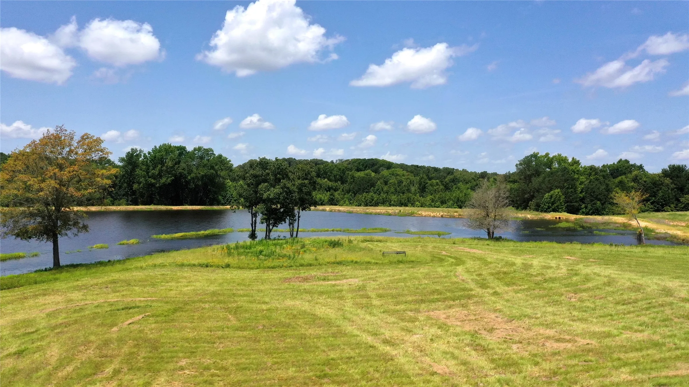 Ranch For Sale in Van Zandt County , 13530 FM 773, Ben Wheeler, Texas 75754, 0, 0, Garage spaces, 0 Sqft, built in 0, Price $1,345,000, mls#21174562, Real Estate Agent in Ben Wheeler, Homes For Sale in Van Zandt county, Homes For Sale in Ben Wheeler, Realtor in Ben Wheeler Texas, Real Estate Brokerage Independent Realty Texas, Luminita Cordes Realtor