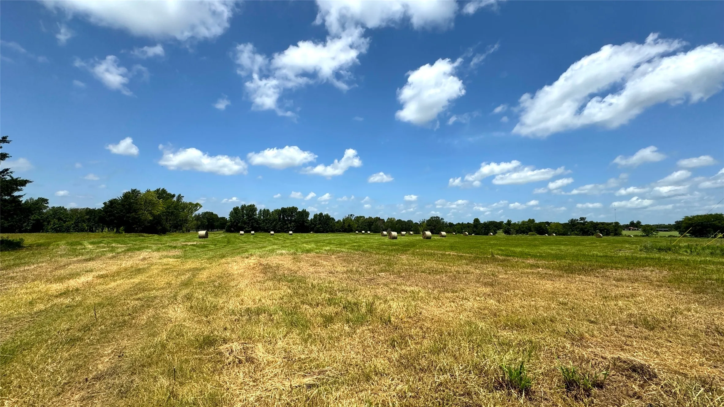 Ranch For Sale in Van Zandt County , 13530 FM 773, Ben Wheeler, Texas 75754, 0, 0, Garage spaces, 0 Sqft, built in 0, Price $1,345,000, mls#21174562, Real Estate Agent in Ben Wheeler, Homes For Sale in Van Zandt county, Homes For Sale in Ben Wheeler, Realtor in Ben Wheeler Texas, Real Estate Brokerage Independent Realty Texas, Luminita Cordes Realtor
