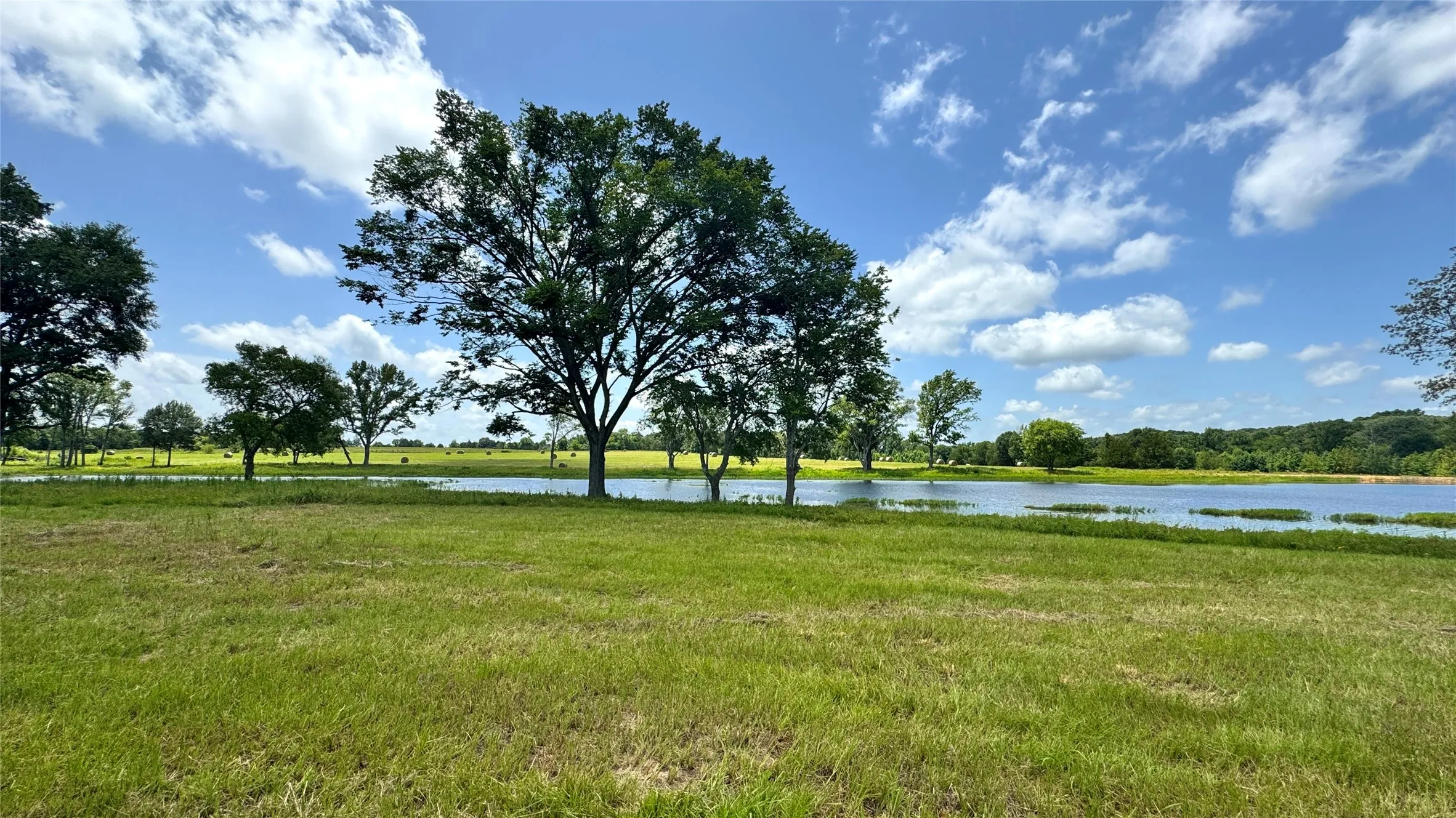 Ranch For Sale in Van Zandt County , 13530 FM 773, Ben Wheeler, Texas 75754, 0, 0, Garage spaces, 0 Sqft, built in 0, Price $1,345,000, mls#21174562, Real Estate Agent in Ben Wheeler, Homes For Sale in Van Zandt county, Homes For Sale in Ben Wheeler, Realtor in Ben Wheeler Texas, Real Estate Brokerage Independent Realty Texas, Luminita Cordes Realtor