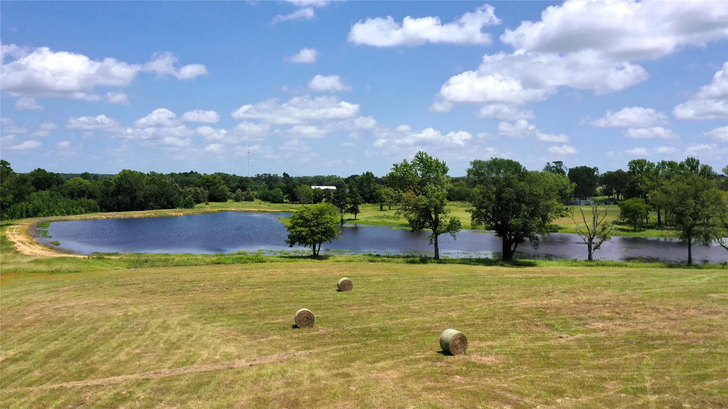 Ranch For Sale in Van Zandt County , 13530 FM 773, Ben Wheeler, Texas 75754, 0, 0, Garage spaces, 0 Sqft, built in 0, Price $1,345,000, mls#21174562, Real Estate Agent in Ben Wheeler, Homes For Sale in Van Zandt county, Homes For Sale in Ben Wheeler, Realtor in Ben Wheeler Texas, Real Estate Brokerage Independent Realty Texas, Luminita Cordes Realtor