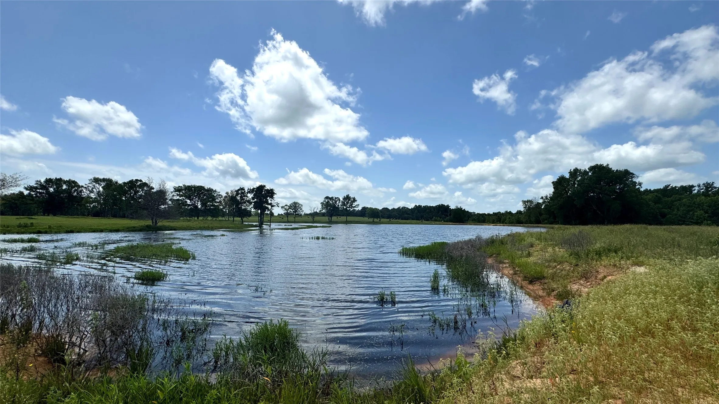 Ranch For Sale in Van Zandt County , 13530 FM 773, Ben Wheeler, Texas 75754, 0, 0, Garage spaces, 0 Sqft, built in 0, Price $1,345,000, mls#21174562, Real Estate Agent in Ben Wheeler, Homes For Sale in Van Zandt county, Homes For Sale in Ben Wheeler, Realtor in Ben Wheeler Texas, Real Estate Brokerage Independent Realty Texas, Luminita Cordes Realtor
