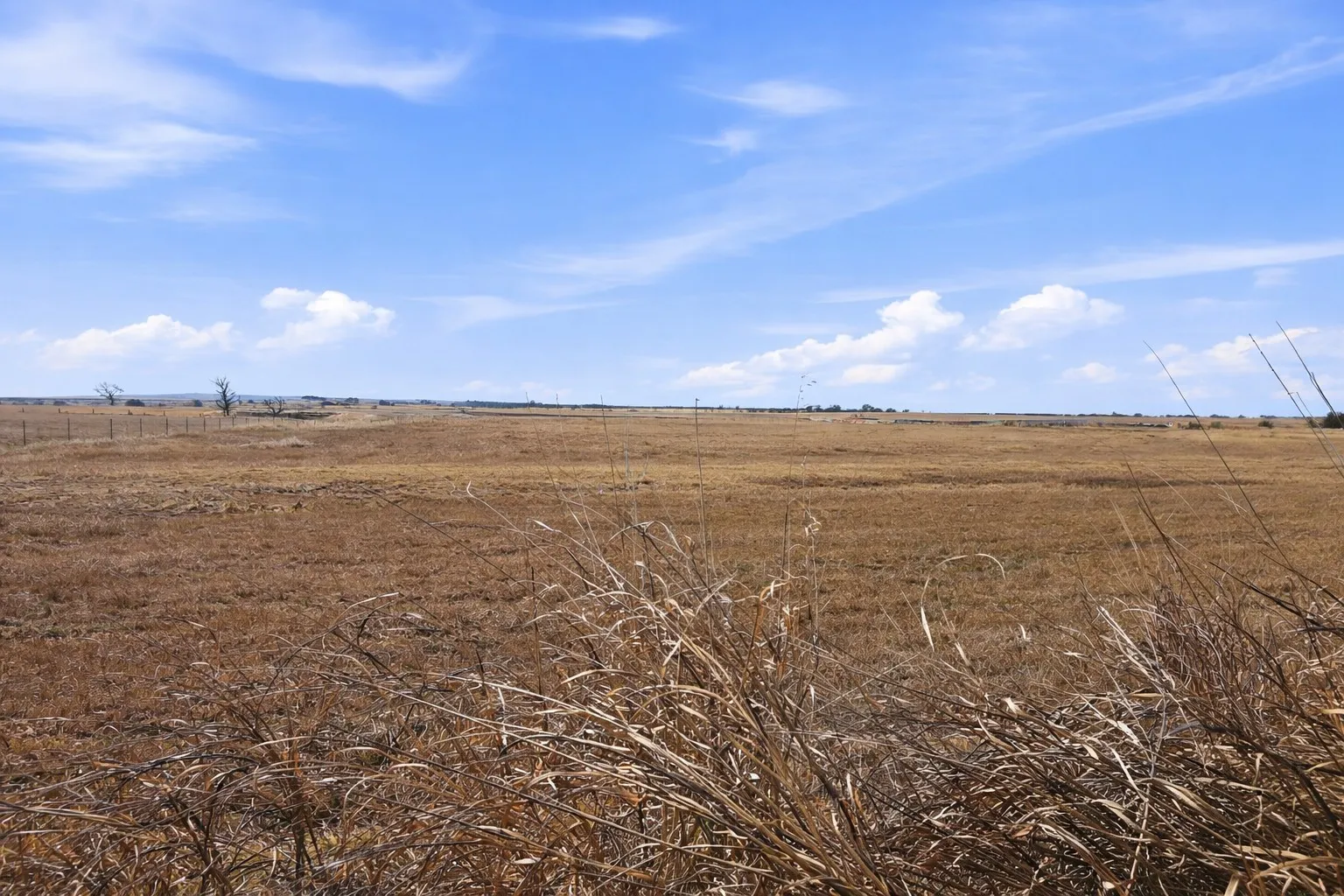 Improved Land For Sale in Coryell County , TBD-20 acres Tbd Cr 255, Gatesville, Texas 76528, 0, 0, Garage spaces, 0 Sqft, built in 0, Price $217,000, mls#21174570, Real Estate Agent in Gatesville, Homes For Sale in Coryell county, Homes For Sale in Gatesville, Realtor in Gatesville Texas, Real Estate Brokerage Independent Realty Texas, Luminita Cordes Realtor