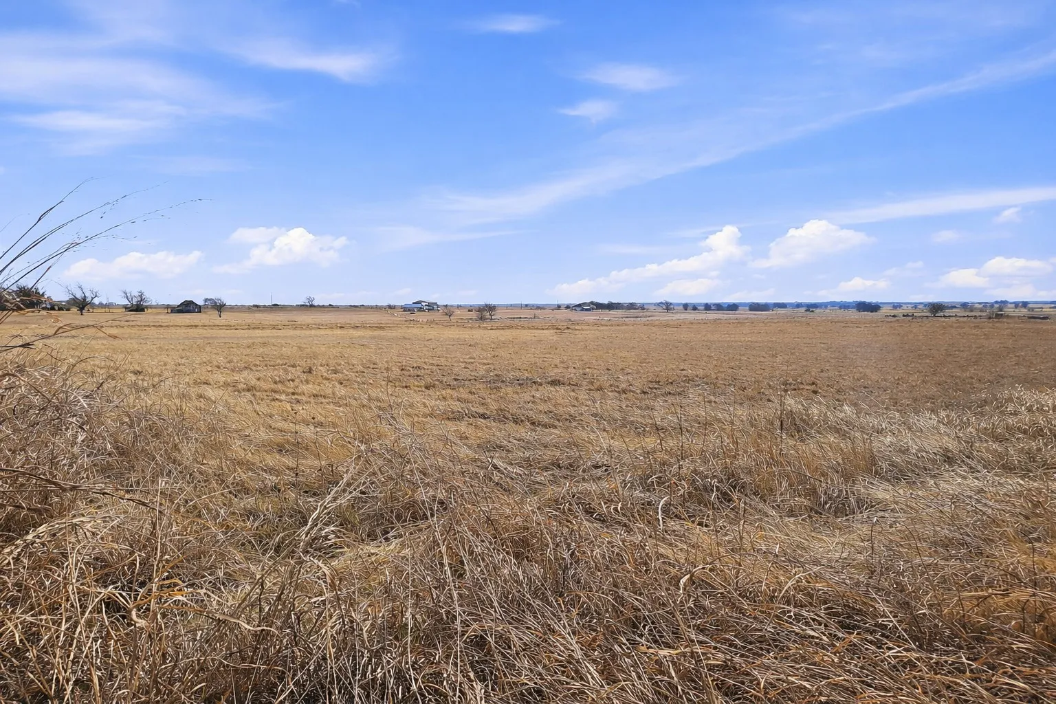 Improved Land For Sale in Coryell County , TBD-20 acres Tbd Cr 255, Gatesville, Texas 76528, 0, 0, Garage spaces, 0 Sqft, built in 0, Price $217,000, mls#21174570, Real Estate Agent in Gatesville, Homes For Sale in Coryell county, Homes For Sale in Gatesville, Realtor in Gatesville Texas, Real Estate Brokerage Independent Realty Texas, Luminita Cordes Realtor