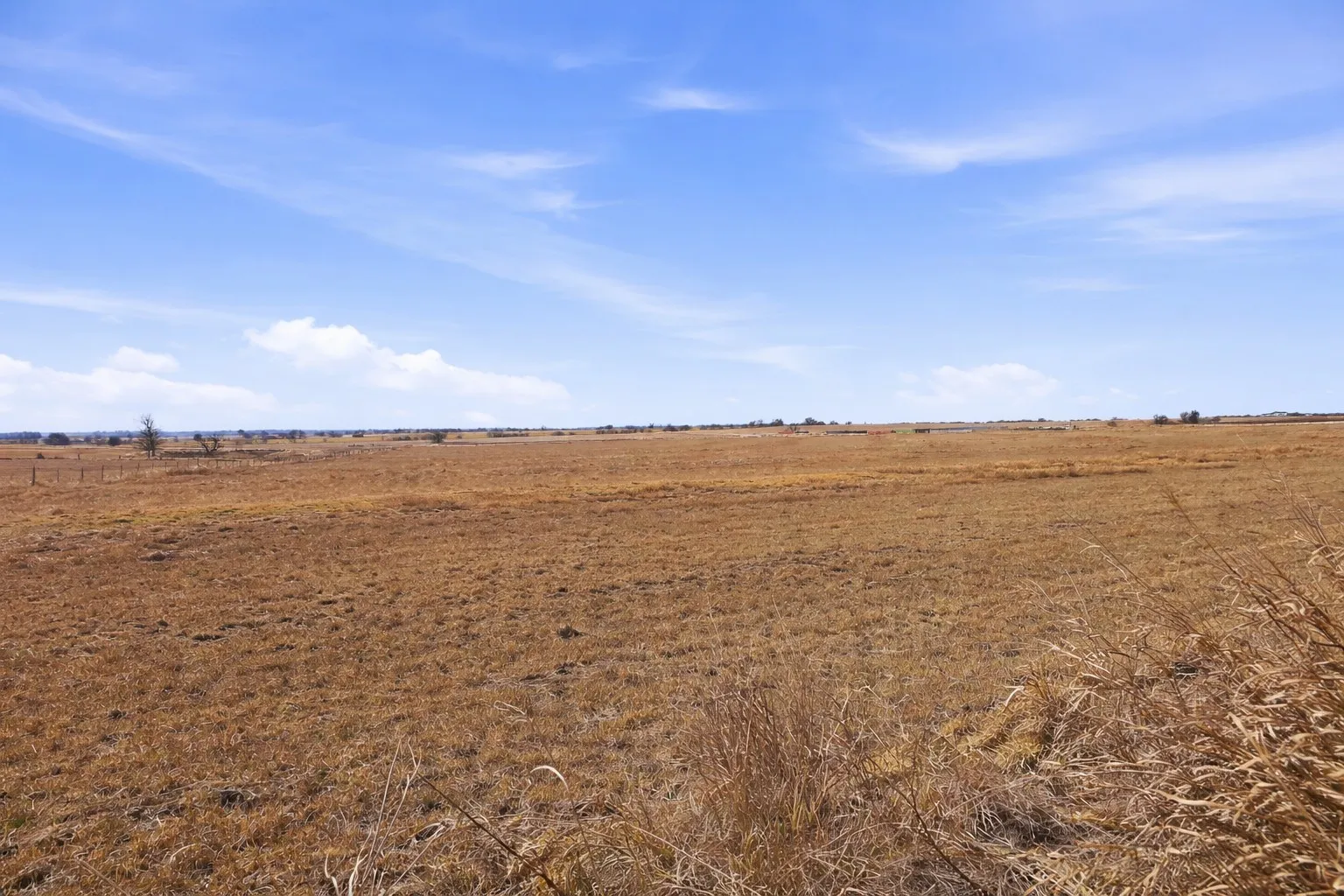 Improved Land For Sale in Coryell County , TBD-20 acres Tbd Cr 255, Gatesville, Texas 76528, 0, 0, Garage spaces, 0 Sqft, built in 0, Price $217,000, mls#21174570, Real Estate Agent in Gatesville, Homes For Sale in Coryell county, Homes For Sale in Gatesville, Realtor in Gatesville Texas, Real Estate Brokerage Independent Realty Texas, Luminita Cordes Realtor