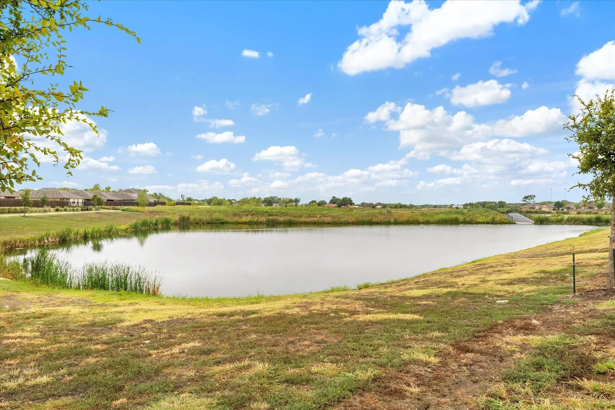 Single Family Residence For Rent in Hunt County , 1125 Silver Maple Lane, Royse City, Texas 75189, 3 Bedrooms, 2 Bathrooms, 2 Garage spaces, 1,444 Sqft, built in 2020, Preowned, Price $1,895, mls#21165525, Real Estate Agent in Royse City, Homes For Rent in Hunt county, Homes For Rent in Royse City, Realtor in Royse City Texas, Real Estate Brokerage Independent Realty Texas, Luminita Cordes Realtor
