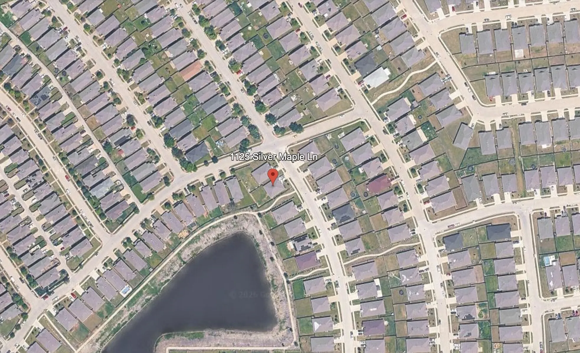 Single Family Residence For Rent in Hunt County , 1125 Silver Maple Lane, Royse City, Texas 75189, 3 Bedrooms, 2 Bathrooms, 2 Garage spaces, 1,444 Sqft, built in 2020, Preowned, Price $1,895, mls#21165525, Real Estate Agent in Royse City, Homes For Rent in Hunt county, Homes For Rent in Royse City, Realtor in Royse City Texas, Real Estate Brokerage Independent Realty Texas, Luminita Cordes Realtor