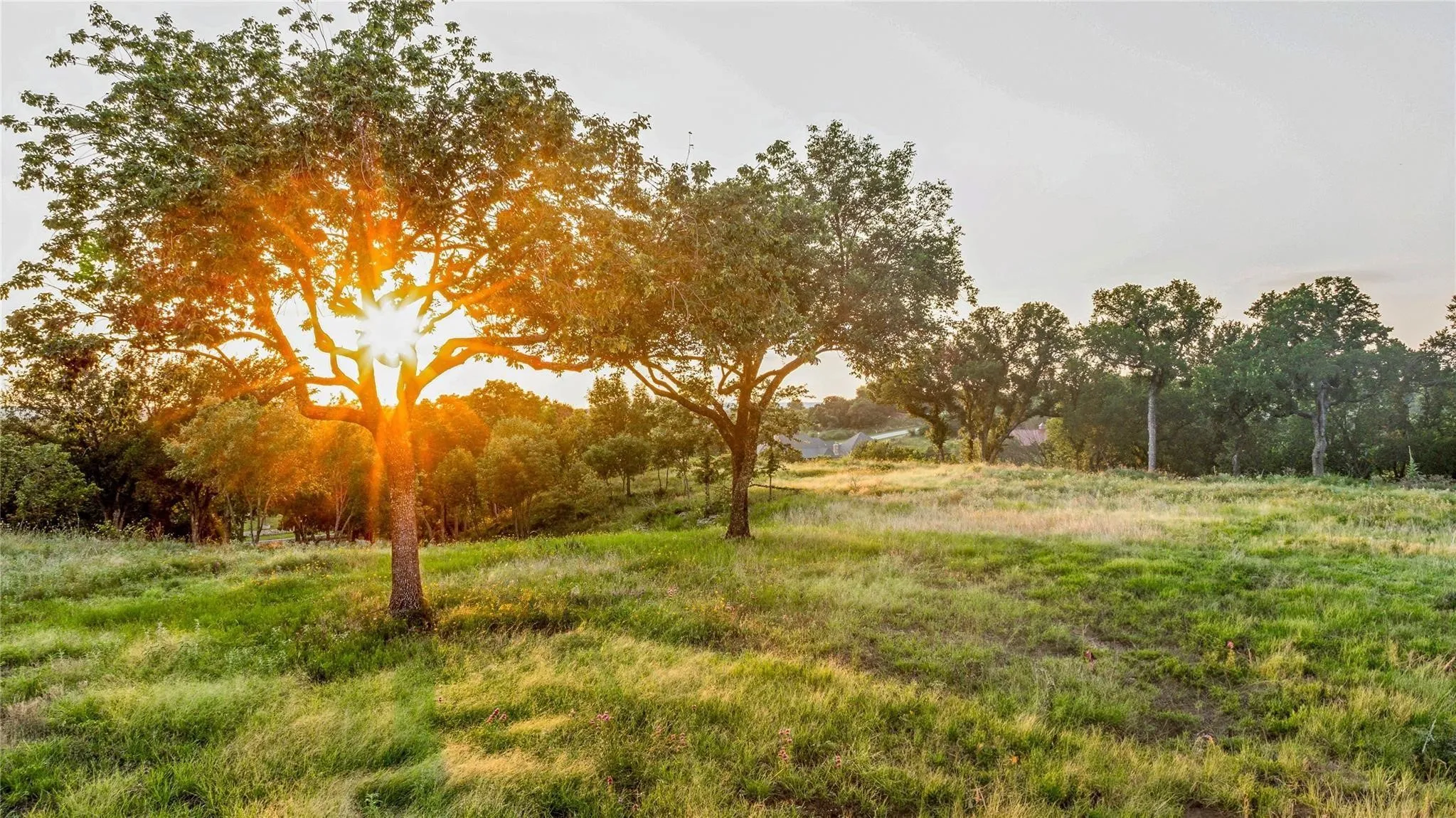 Improved Land For Sale in Parker County , 103 S River Oak Court, Weatherford, Texas 76087, 0, 0, Garage spaces, 0 Sqft, built in 0, mls#21174618, Real Estate Agent in Weatherford, Homes For Sale in Parker county, Homes For Sale in Weatherford, Realtor in Weatherford Texas, Real Estate Brokerage Independent Realty Texas, Luminita Cordes Realtor