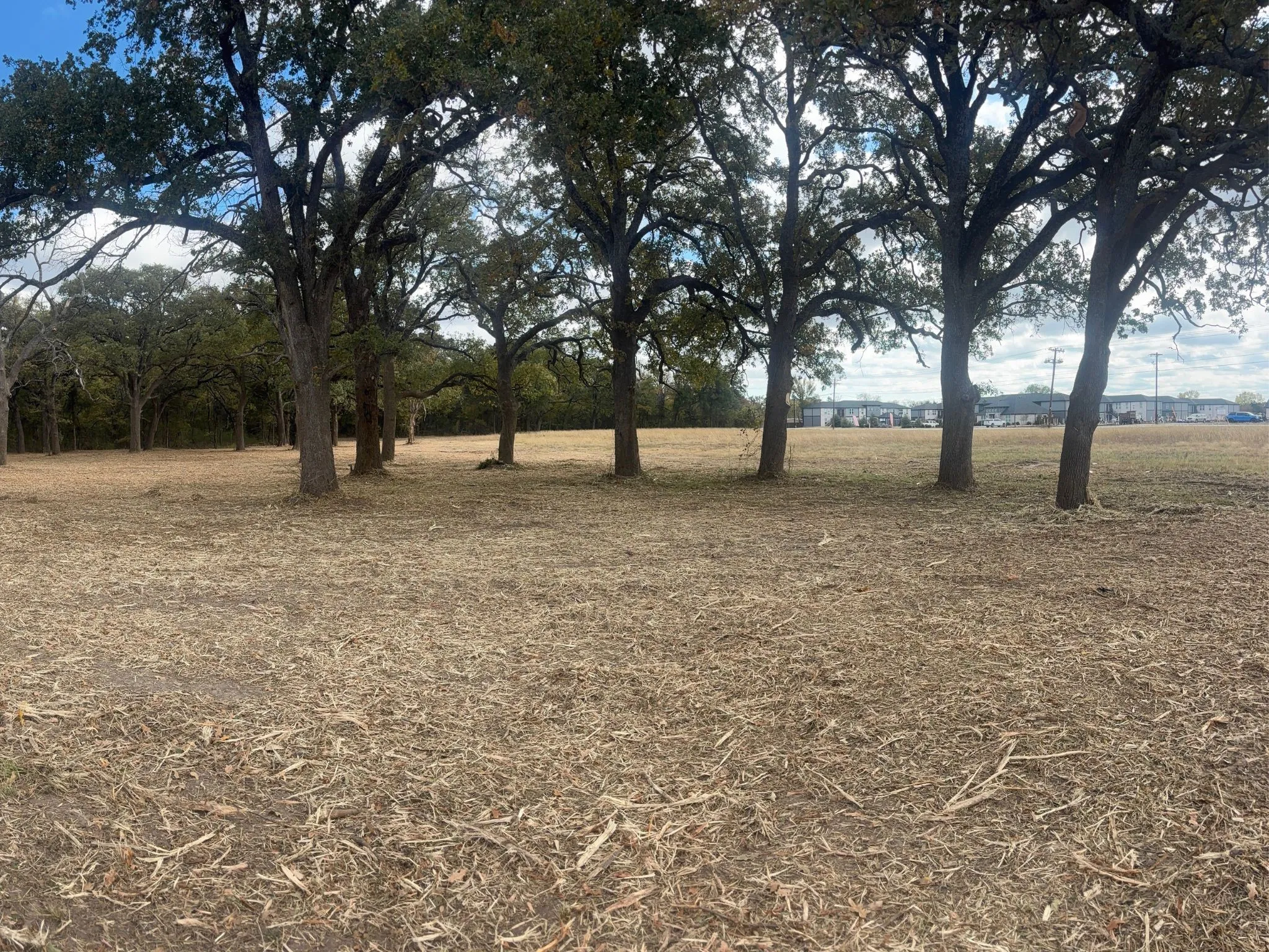 Unimproved Land For Sale in Hunt County , 5.2 acres Fm 1570, Greenville, Texas 75402, 0, 0, Garage spaces, 0 Sqft, built in 0, mls#21174754, Real Estate Agent in Greenville, Homes For Sale in Hunt county, Homes For Sale in Greenville, Realtor in Greenville Texas, Real Estate Brokerage Independent Realty Texas, Luminita Cordes Realtor
