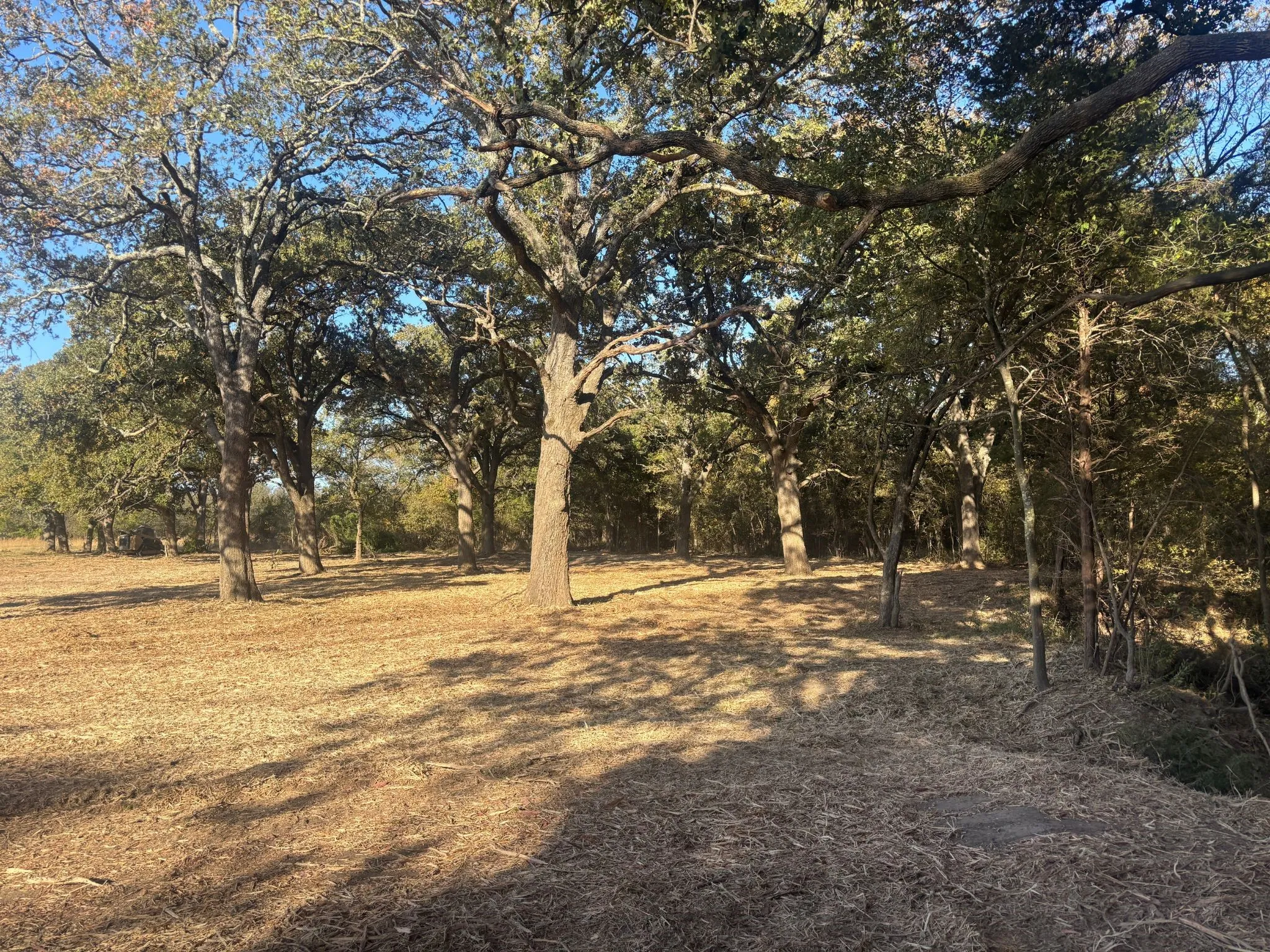 Unimproved Land For Sale in Hunt County , 5.2 acres Fm 1570, Greenville, Texas 75402, 0, 0, Garage spaces, 0 Sqft, built in 0, mls#21174754, Real Estate Agent in Greenville, Homes For Sale in Hunt county, Homes For Sale in Greenville, Realtor in Greenville Texas, Real Estate Brokerage Independent Realty Texas, Luminita Cordes Realtor