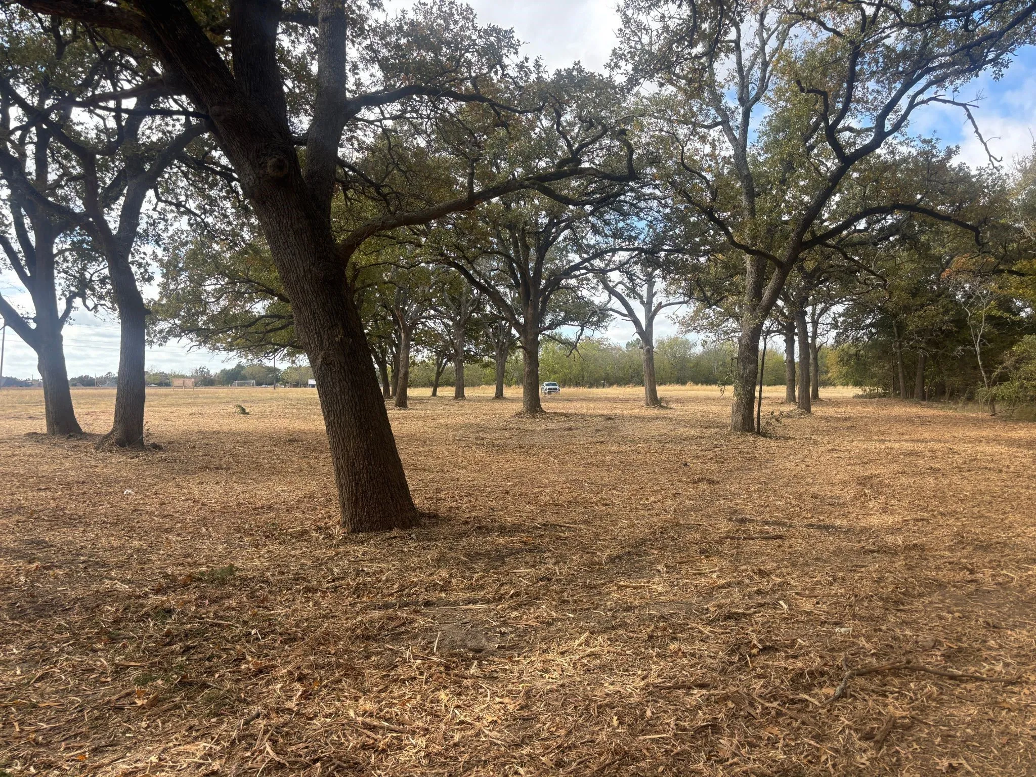 Unimproved Land For Sale in Hunt County , 5.2 acres Fm 1570, Greenville, Texas 75402, 0, 0, Garage spaces, 0 Sqft, built in 0, mls#21174754, Real Estate Agent in Greenville, Homes For Sale in Hunt county, Homes For Sale in Greenville, Realtor in Greenville Texas, Real Estate Brokerage Independent Realty Texas, Luminita Cordes Realtor