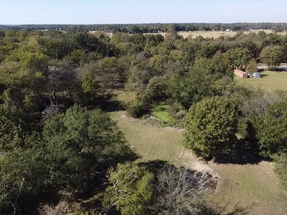Unimproved Land For Sale in Wood County , TBD CR 2940, Alba, Texas 75410, 0, 0, Garage spaces, 0 Sqft, built in 0, Price $49,900, mls#21174763, Real Estate Agent in Alba, Homes For Sale in Wood county, Homes For Sale in Alba, Realtor in Alba Texas, Real Estate Brokerage Independent Realty Texas, Luminita Cordes Realtor