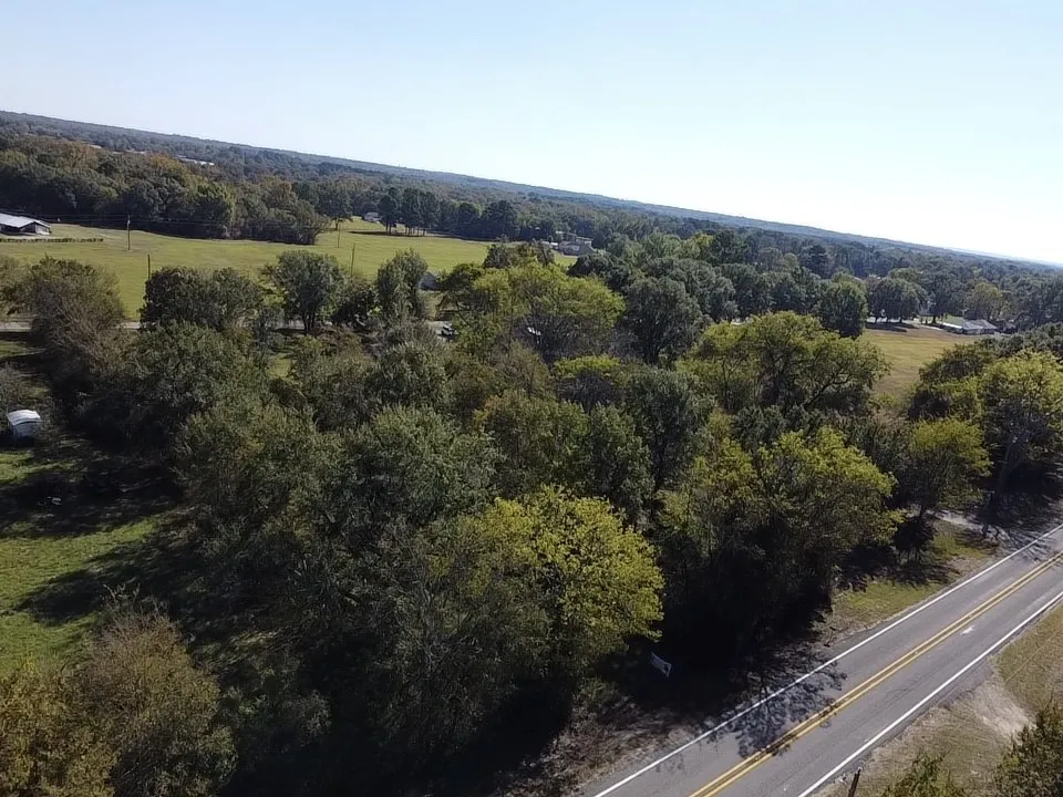 Unimproved Land For Sale in Wood County , TBD FM 1799, Alba, Texas 75410, 0, 0, Garage spaces, 0 Sqft, built in 0, Price $49,900, mls#21174769, Real Estate Agent in Alba, Homes For Sale in Wood county, Homes For Sale in Alba, Realtor in Alba Texas, Real Estate Brokerage Independent Realty Texas, Luminita Cordes Realtor