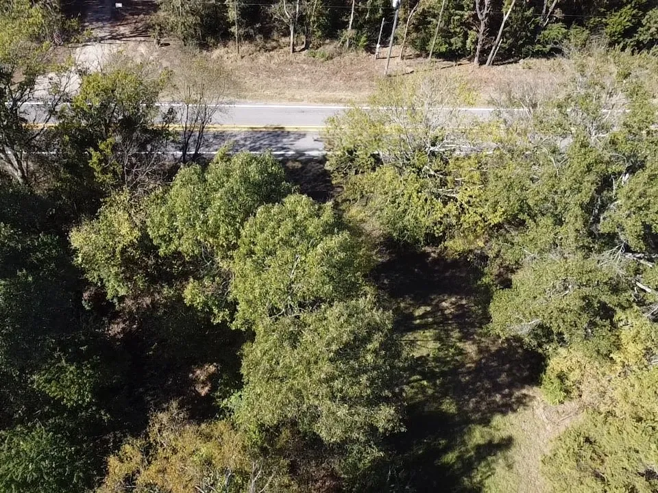 Unimproved Land For Sale in Wood County , TBD FM 1799, Alba, Texas 75410, 0, 0, Garage spaces, 0 Sqft, built in 0, Price $49,900, mls#21174769, Real Estate Agent in Alba, Homes For Sale in Wood county, Homes For Sale in Alba, Realtor in Alba Texas, Real Estate Brokerage Independent Realty Texas, Luminita Cordes Realtor