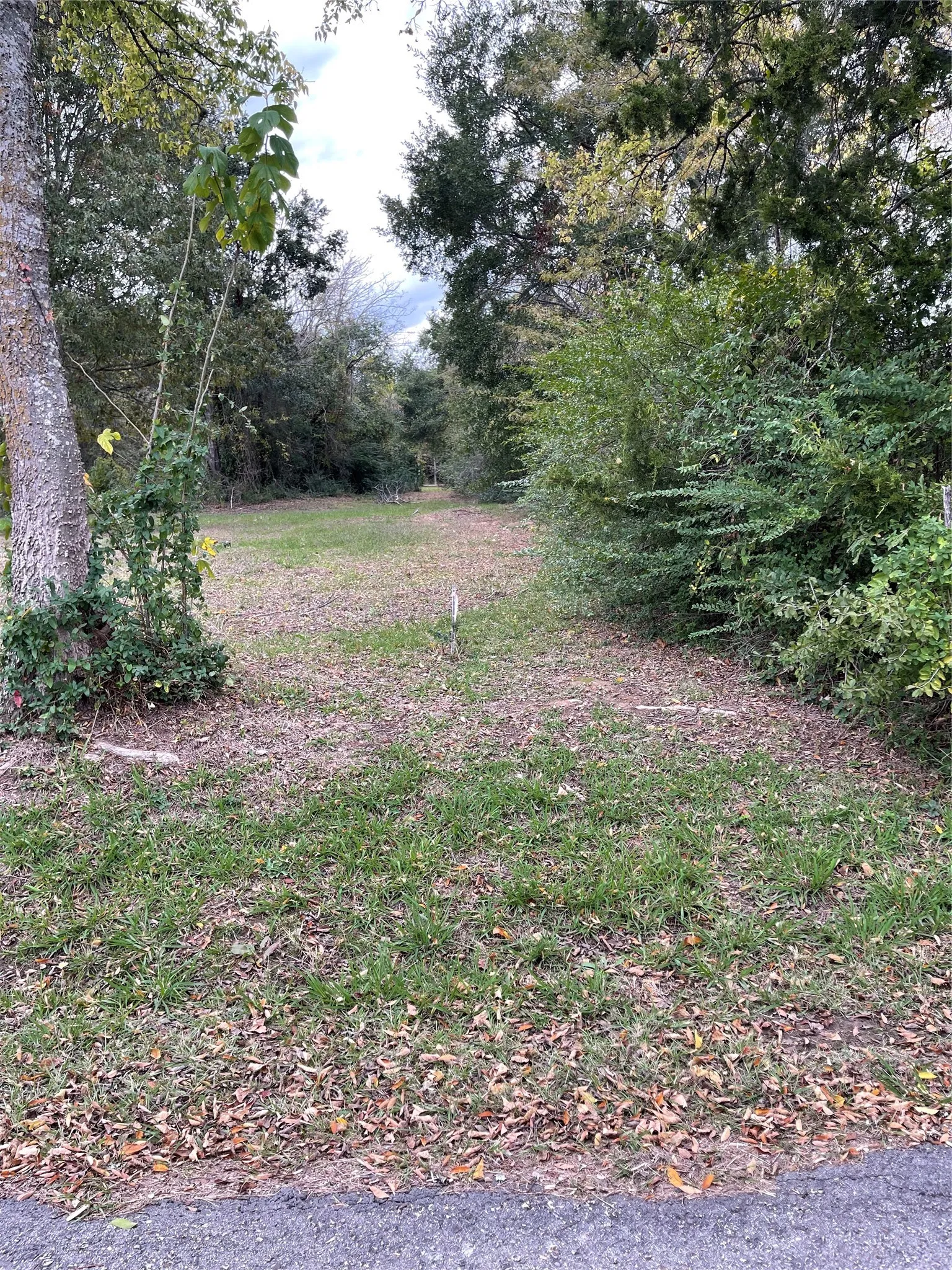 Unimproved Land For Sale in Wood County , TBD FM 1799, Alba, Texas 75410, 0, 0, Garage spaces, 0 Sqft, built in 0, Price $49,900, mls#21174769, Real Estate Agent in Alba, Homes For Sale in Wood county, Homes For Sale in Alba, Realtor in Alba Texas, Real Estate Brokerage Independent Realty Texas, Luminita Cordes Realtor
