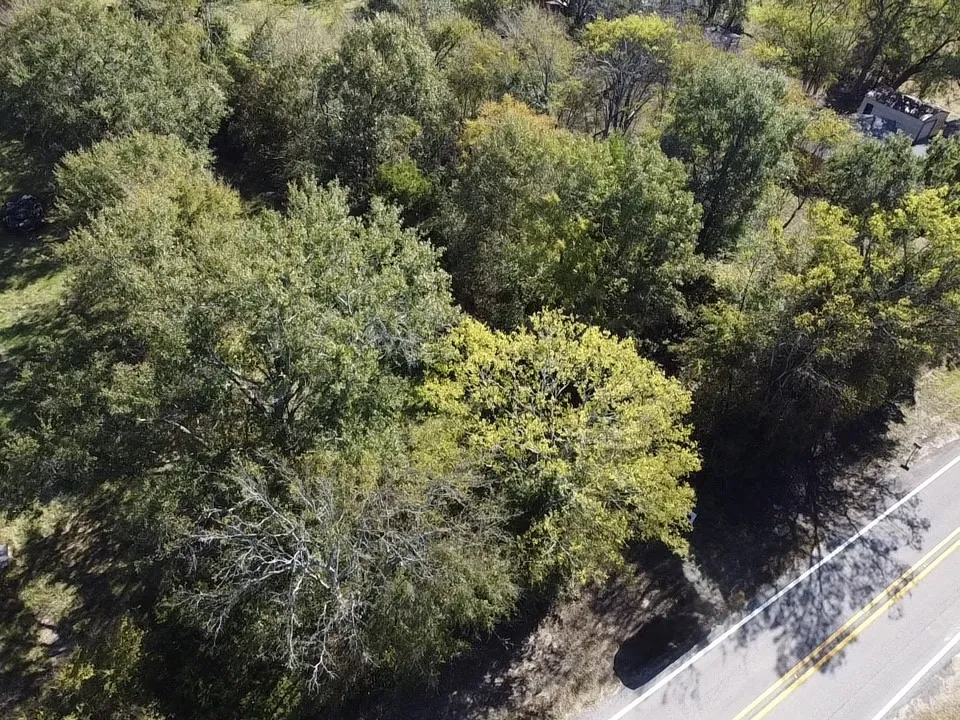 Unimproved Land For Sale in Wood County , TO BE DETERMINED FM 1799, Alba, Texas 75410, 0, 0, Garage spaces, 0 Sqft, built in 0, Price $99,900, mls#21174771, Real Estate Agent in Alba, Homes For Sale in Wood county, Homes For Sale in Alba, Realtor in Alba Texas, Real Estate Brokerage Independent Realty Texas, Luminita Cordes Realtor