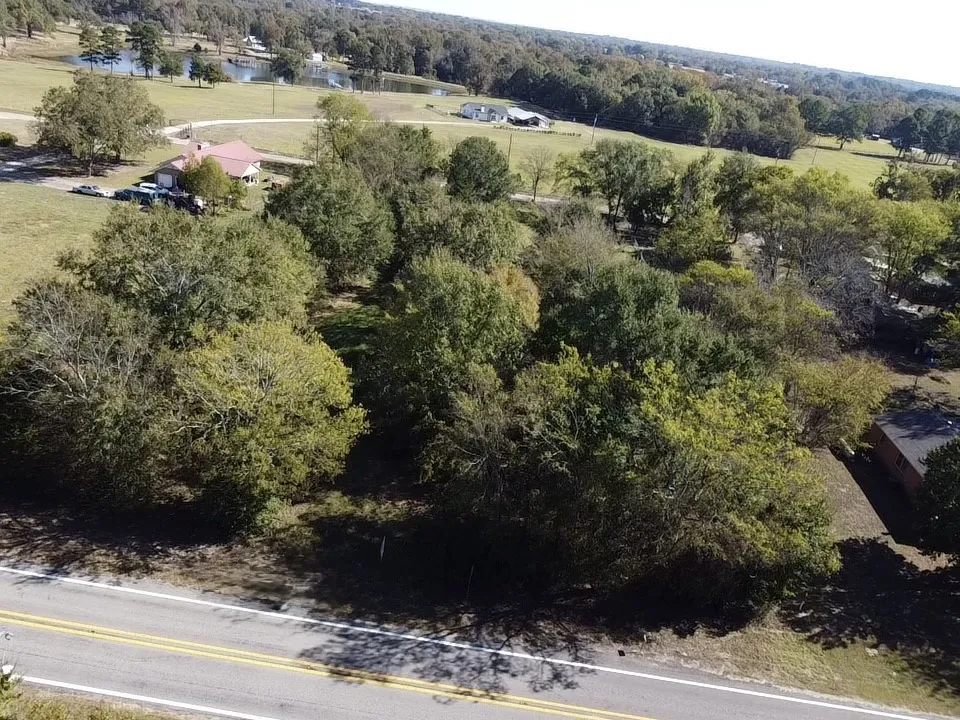 Unimproved Land For Sale in Wood County , TO BE DETERMINED FM 1799, Alba, Texas 75410, 0, 0, Garage spaces, 0 Sqft, built in 0, Price $99,900, mls#21174771, Real Estate Agent in Alba, Homes For Sale in Wood county, Homes For Sale in Alba, Realtor in Alba Texas, Real Estate Brokerage Independent Realty Texas, Luminita Cordes Realtor