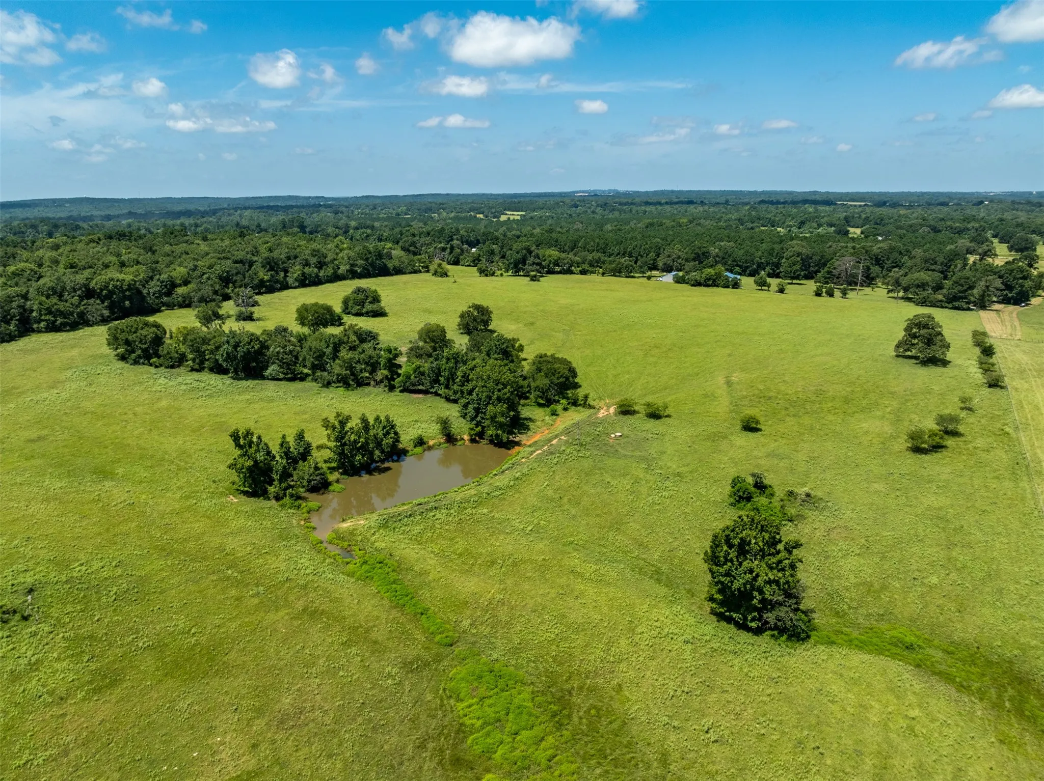 Ranch For Sale in Anderson County , 1044 ACR 379, Palestine, Texas 75801, 0, 0, Garage spaces, 0 Sqft, built in 0, Price $845,000, mls#21174853, Real Estate Agent in Palestine, Homes For Sale in Anderson county, Homes For Sale in Palestine, Realtor in Palestine Texas, Real Estate Brokerage Independent Realty Texas, Luminita Cordes Realtor