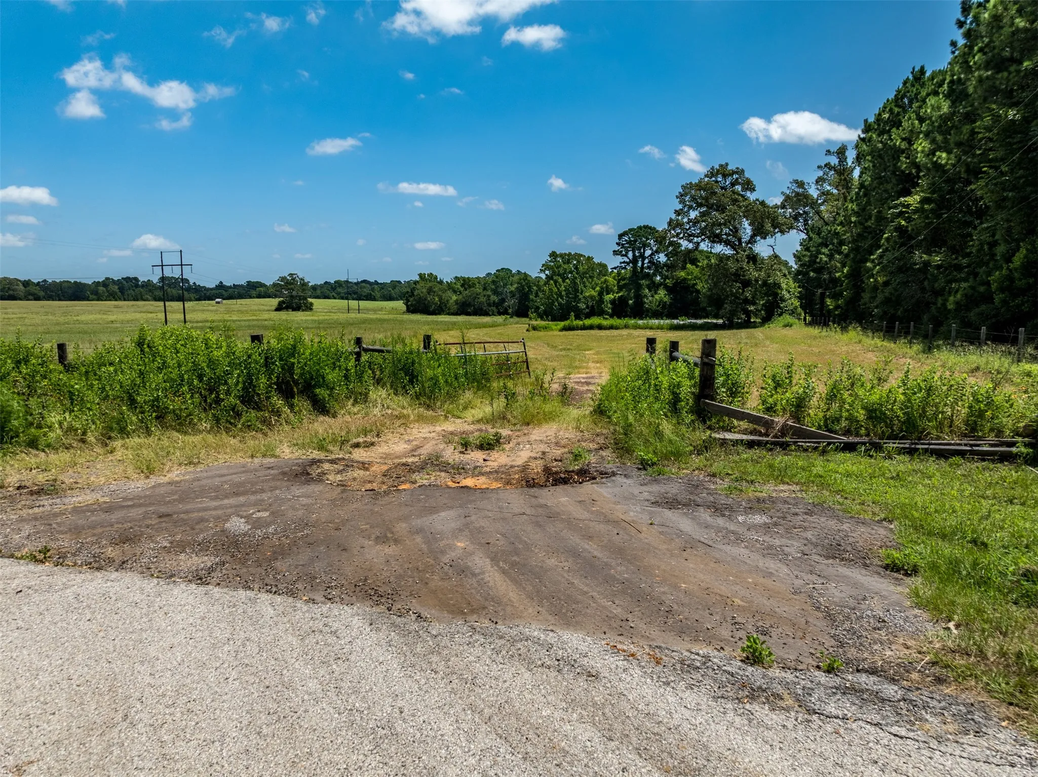 Ranch For Sale in Anderson County , 1044 ACR 379, Palestine, Texas 75801, 0, 0, Garage spaces, 0 Sqft, built in 0, Price $845,000, mls#21174853, Real Estate Agent in Palestine, Homes For Sale in Anderson county, Homes For Sale in Palestine, Realtor in Palestine Texas, Real Estate Brokerage Independent Realty Texas, Luminita Cordes Realtor