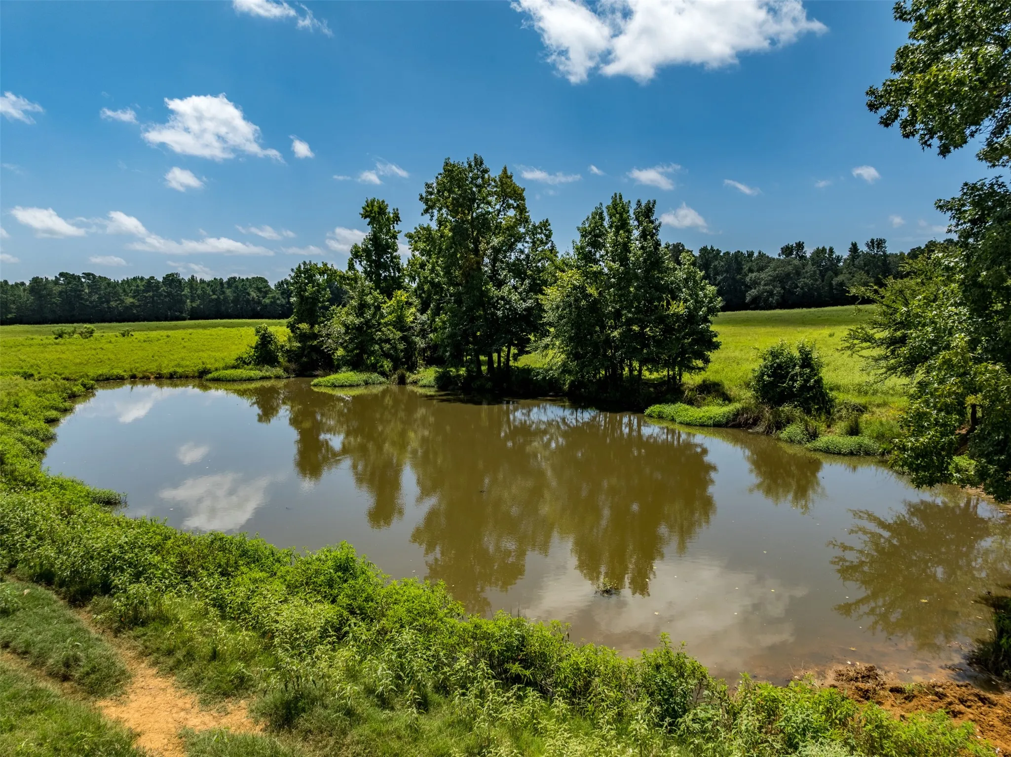 Ranch For Sale in Anderson County , 1044 ACR 379, Palestine, Texas 75801, 0, 0, Garage spaces, 0 Sqft, built in 0, Price $845,000, mls#21174853, Real Estate Agent in Palestine, Homes For Sale in Anderson county, Homes For Sale in Palestine, Realtor in Palestine Texas, Real Estate Brokerage Independent Realty Texas, Luminita Cordes Realtor