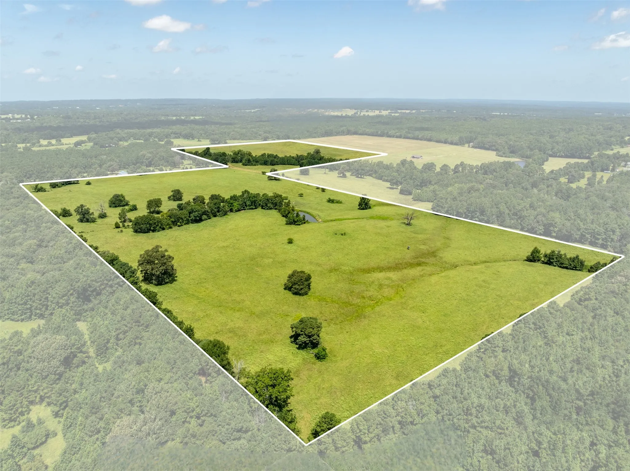 Ranch For Sale in Anderson County , 1044 ACR 379, Palestine, Texas 75801, 0, 0, Garage spaces, 0 Sqft, built in 0, Price $845,000, mls#21174853, Real Estate Agent in Palestine, Homes For Sale in Anderson county, Homes For Sale in Palestine, Realtor in Palestine Texas, Real Estate Brokerage Independent Realty Texas, Luminita Cordes Realtor