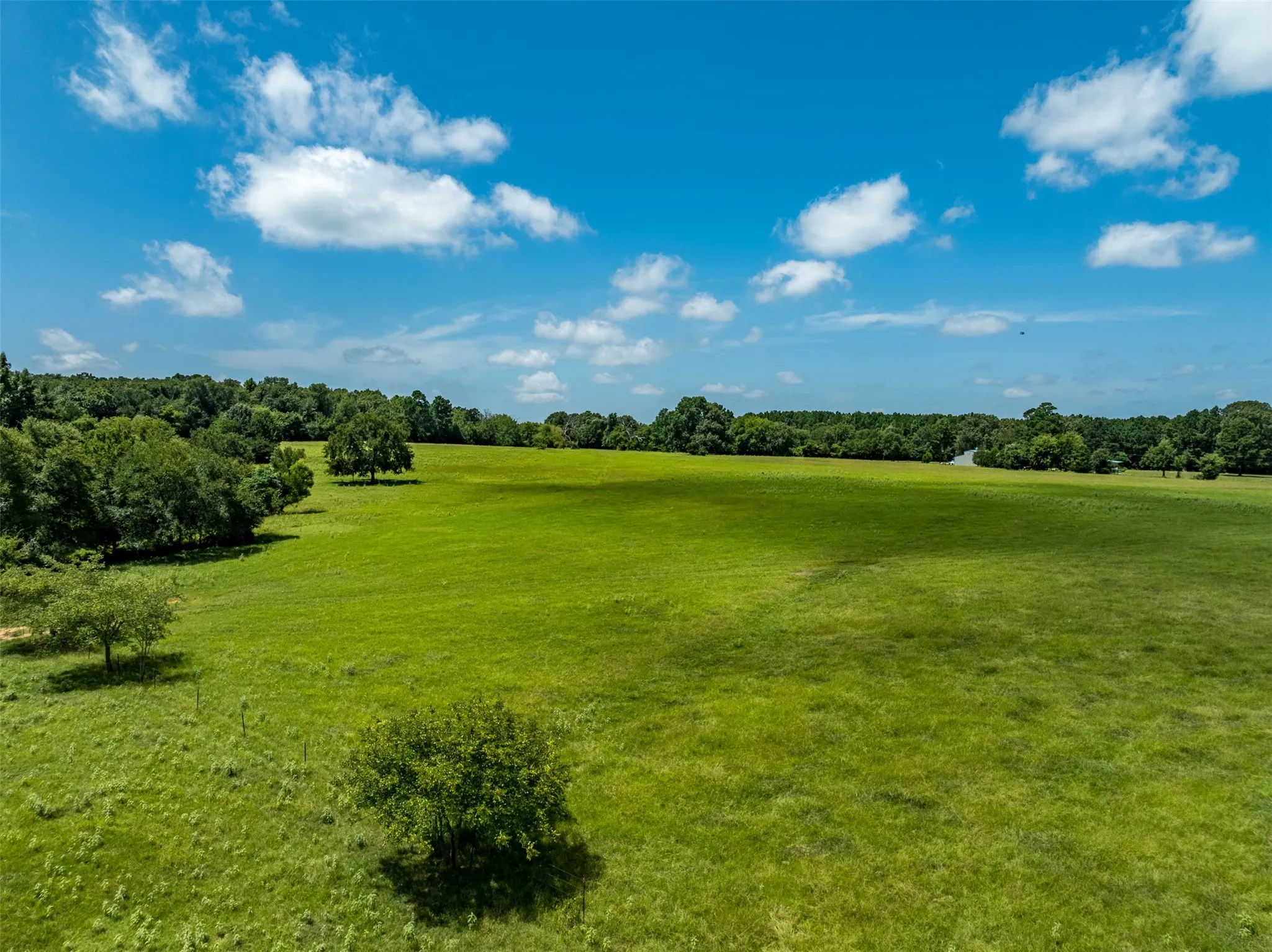 Ranch For Sale in Anderson County , 1044 ACR 379, Palestine, Texas 75801, 0, 0, Garage spaces, 0 Sqft, built in 0, Price $845,000, mls#21174853, Real Estate Agent in Palestine, Homes For Sale in Anderson county, Homes For Sale in Palestine, Realtor in Palestine Texas, Real Estate Brokerage Independent Realty Texas, Luminita Cordes Realtor