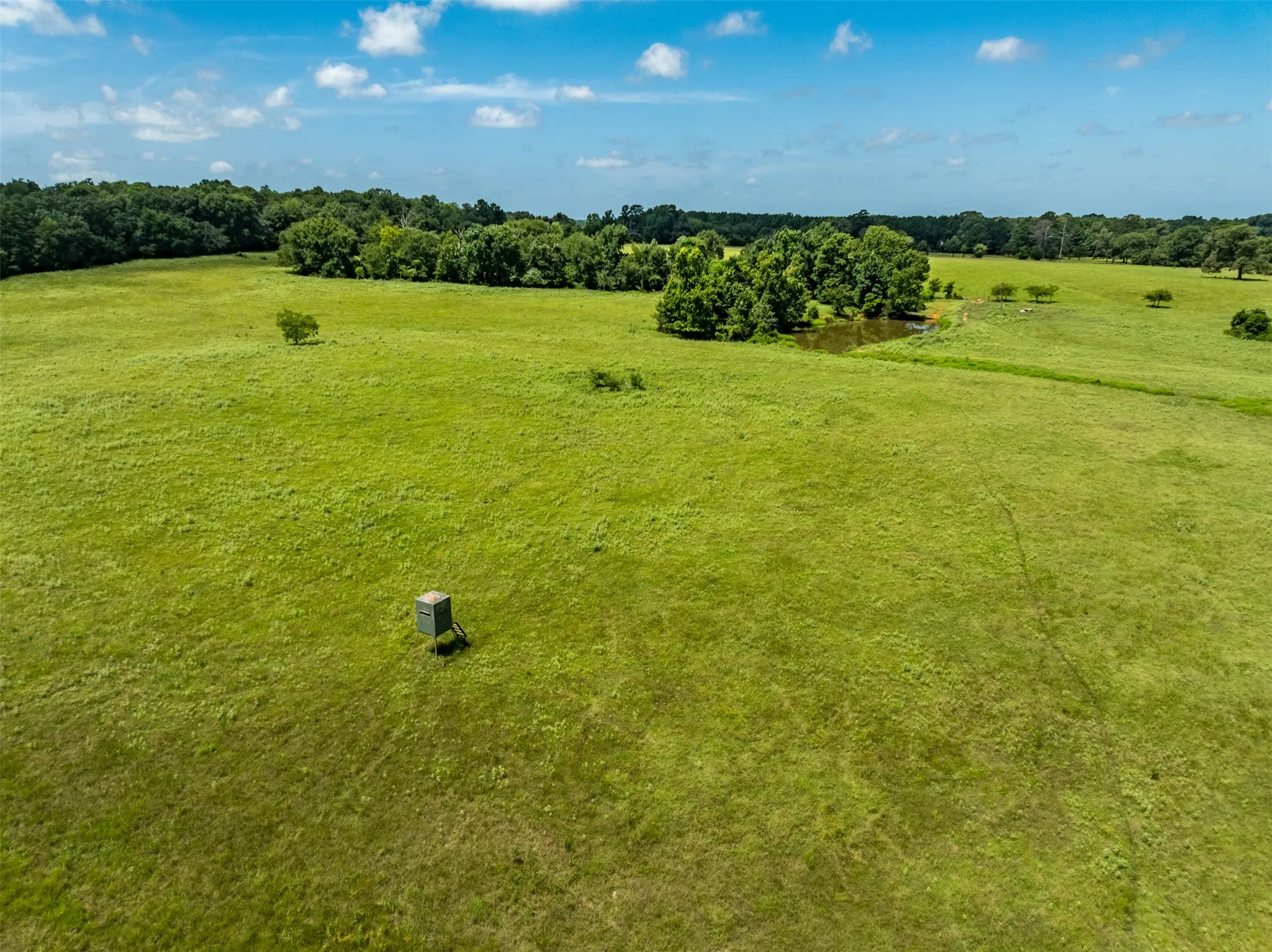 Ranch For Sale in Anderson County , 1044 ACR 379, Palestine, Texas 75801, 0, 0, Garage spaces, 0 Sqft, built in 0, Price $845,000, mls#21174853, Real Estate Agent in Palestine, Homes For Sale in Anderson county, Homes For Sale in Palestine, Realtor in Palestine Texas, Real Estate Brokerage Independent Realty Texas, Luminita Cordes Realtor