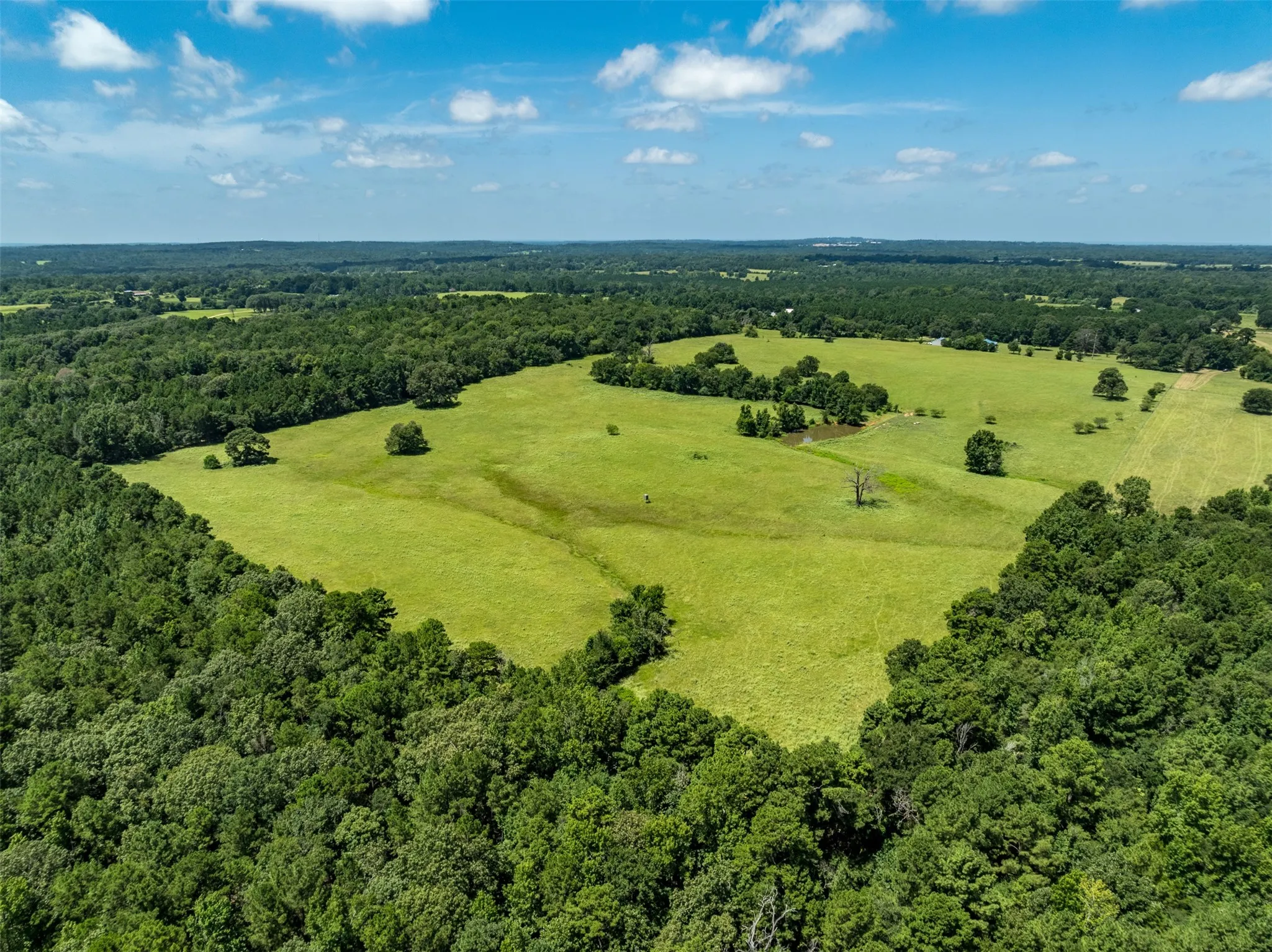Ranch For Sale in Anderson County , 1044 ACR 379, Palestine, Texas 75801, 0, 0, Garage spaces, 0 Sqft, built in 0, Price $845,000, mls#21174853, Real Estate Agent in Palestine, Homes For Sale in Anderson county, Homes For Sale in Palestine, Realtor in Palestine Texas, Real Estate Brokerage Independent Realty Texas, Luminita Cordes Realtor