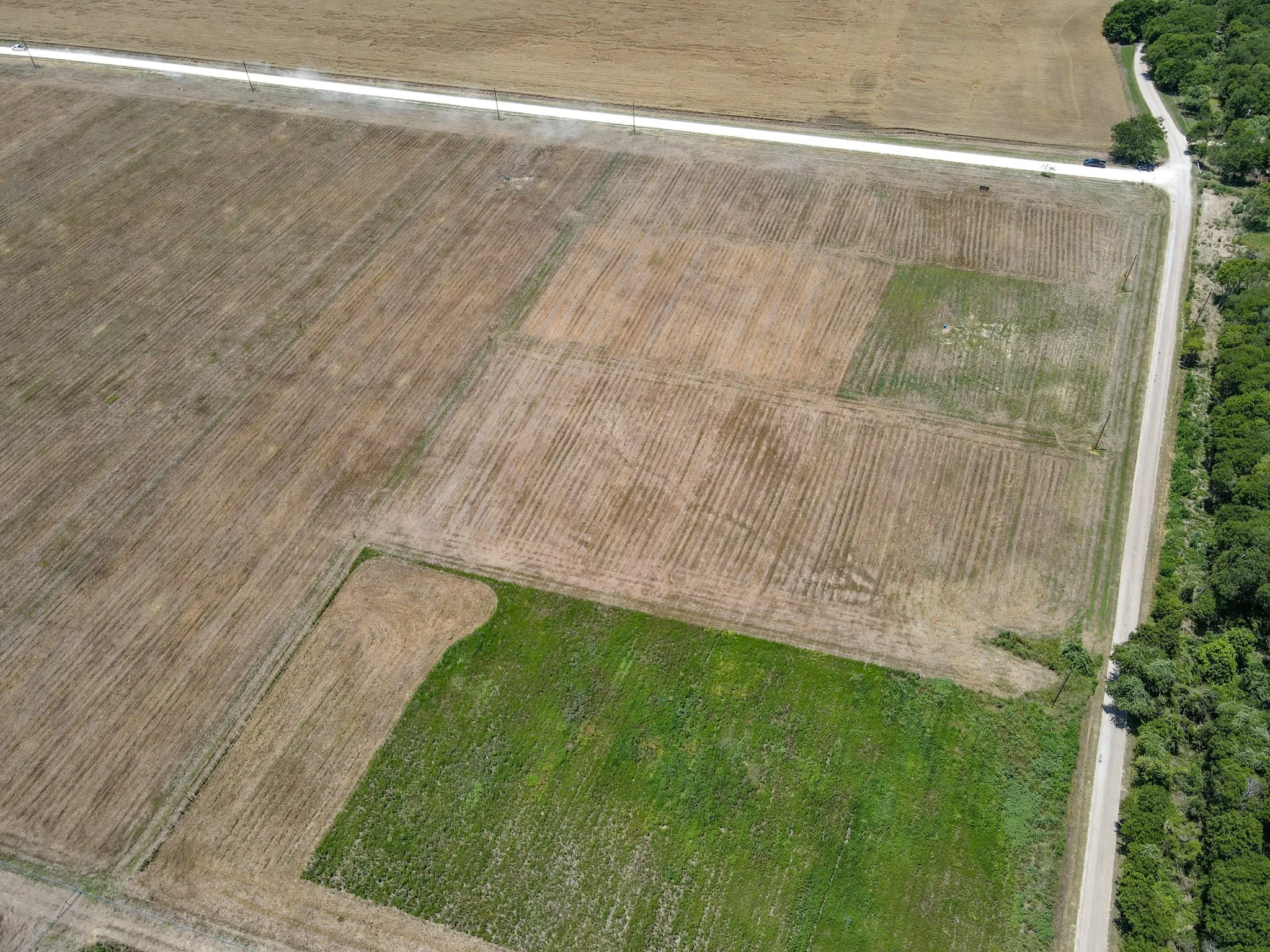 Unimproved Land For Sale in Johnson County , 9125 County Road 101A, Grandview, Texas 76050, 0, 0, Garage spaces, 0 Sqft, built in 0, Price $125,550, mls#21173468, Real Estate Agent in Grandview, Homes For Sale in Johnson county, Homes For Sale in Grandview, Realtor in Grandview Texas, Real Estate Brokerage Independent Realty Texas, Luminita Cordes Realtor