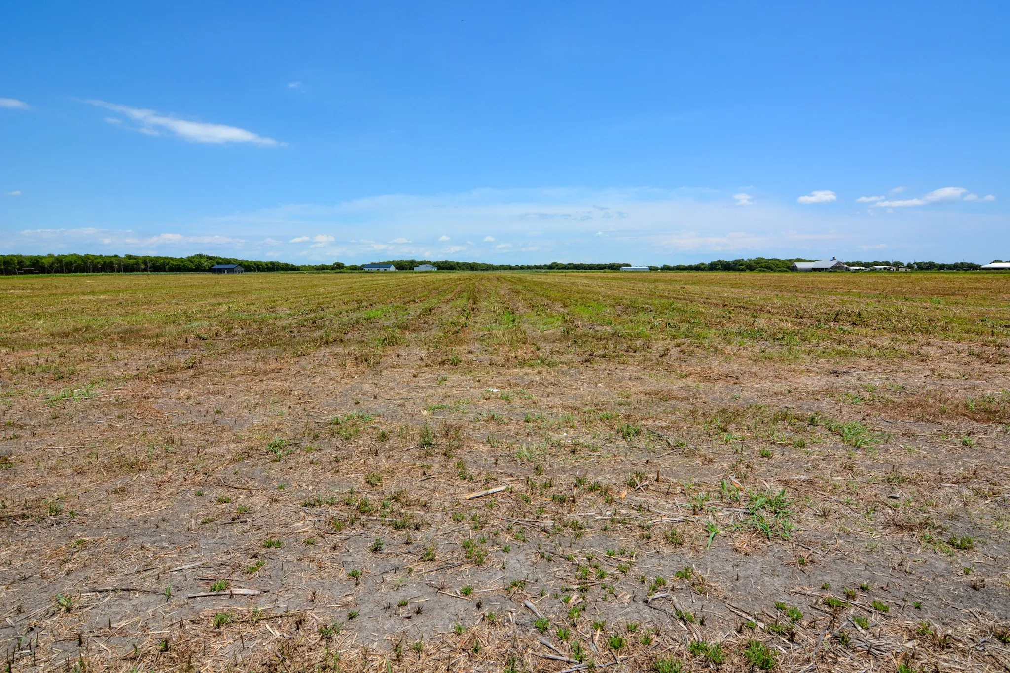 Unimproved Land For Sale in Johnson County , 9125 County Road 101A, Grandview, Texas 76050, 0, 0, Garage spaces, 0 Sqft, built in 0, Price $125,550, mls#21173468, Real Estate Agent in Grandview, Homes For Sale in Johnson county, Homes For Sale in Grandview, Realtor in Grandview Texas, Real Estate Brokerage Independent Realty Texas, Luminita Cordes Realtor